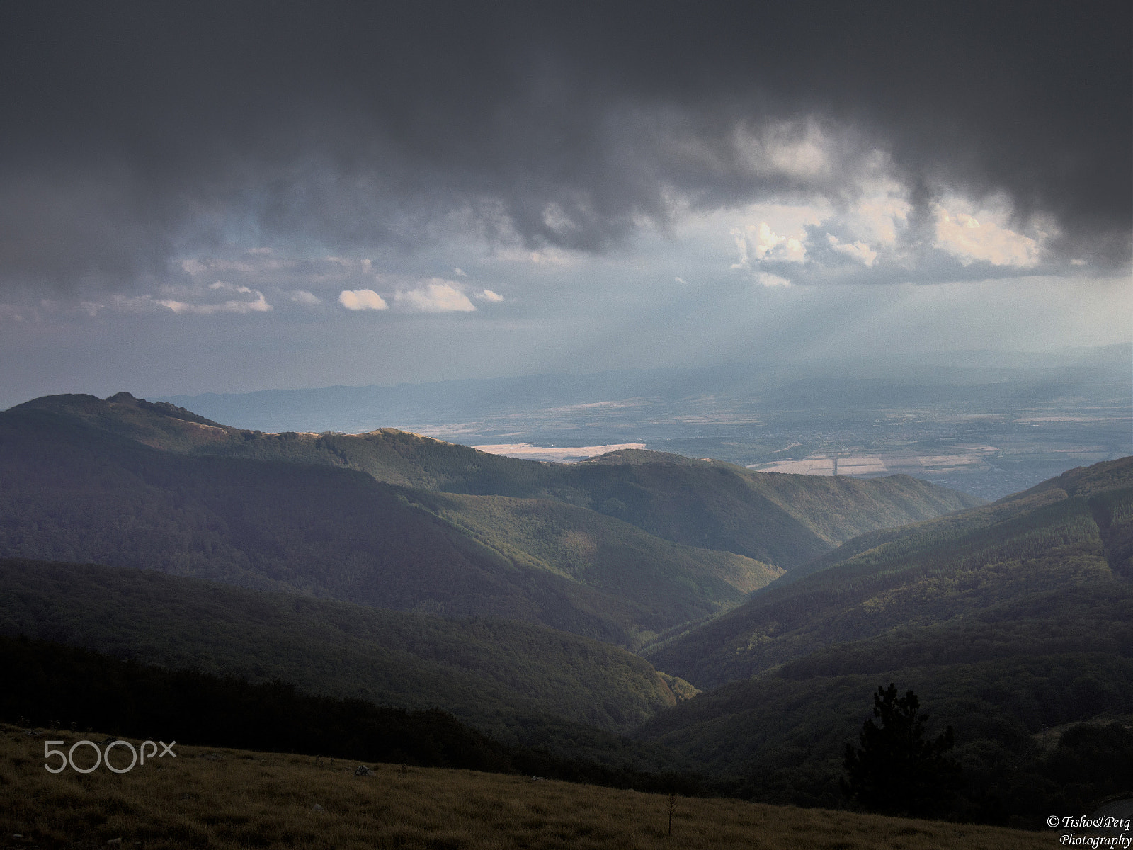 LUMIX G 20/F1.7 II sample photo. Balkan mountain 4 photography