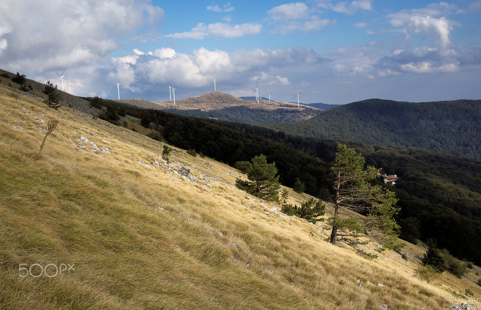 LUMIX G 20/F1.7 II sample photo. Balkan mountain 2 photography
