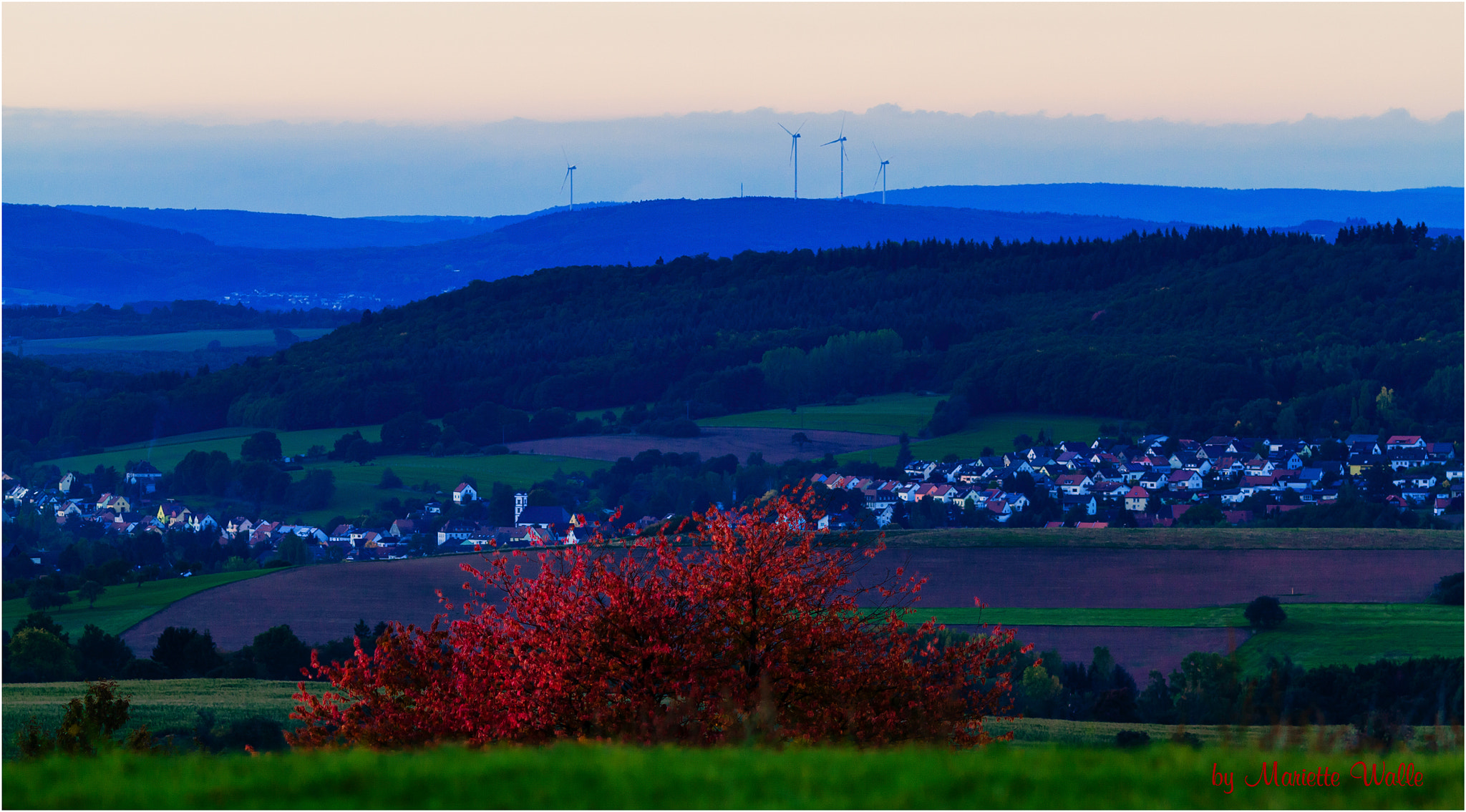 Canon EOS 7D sample photo. Twilight in autumn photography