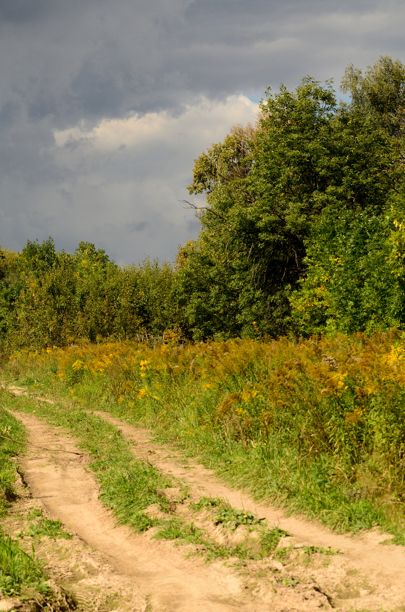 Nikon D7000 sample photo. Before the rain photography