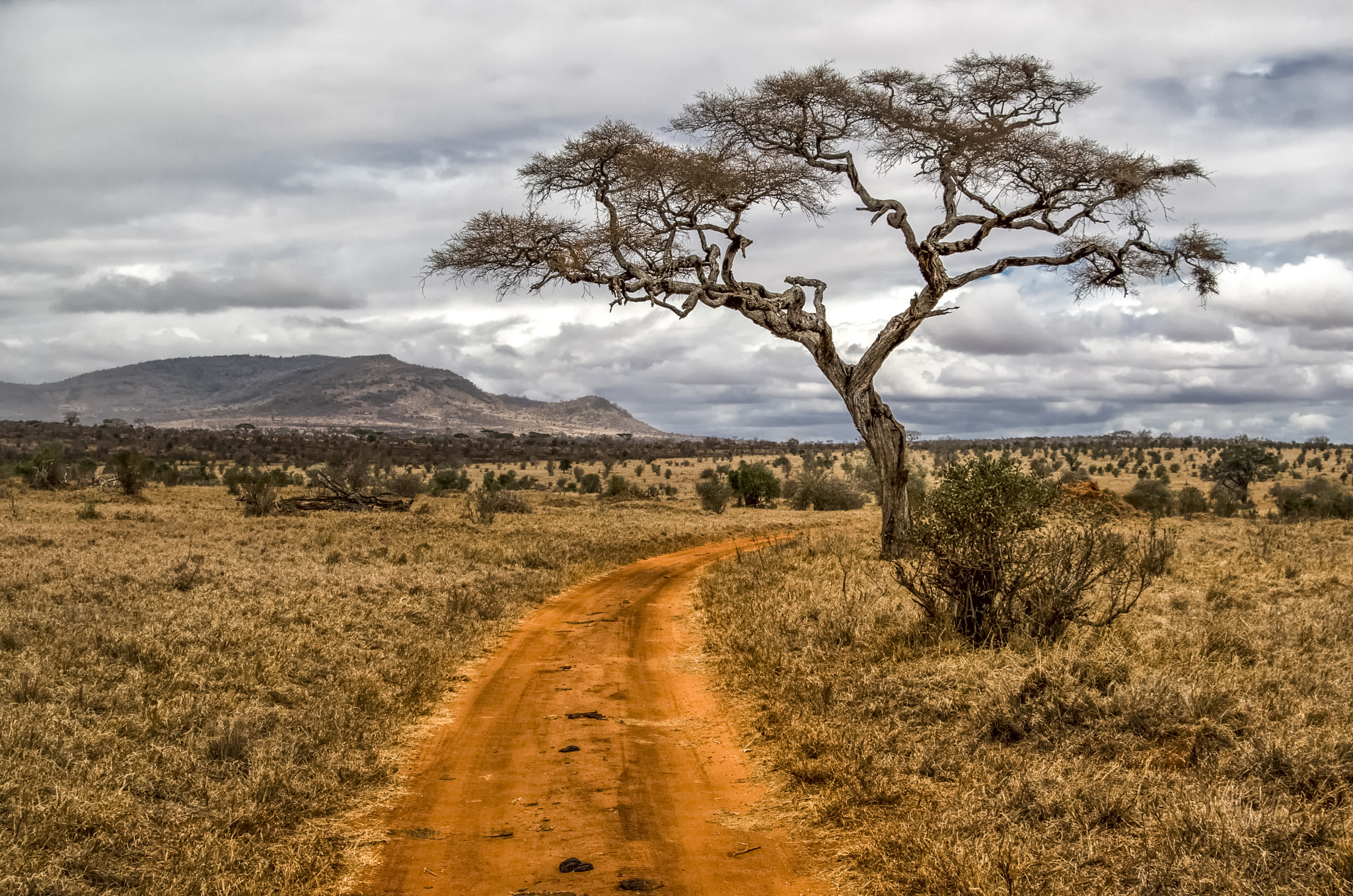 Pentax K-30 sample photo. African landscape photography