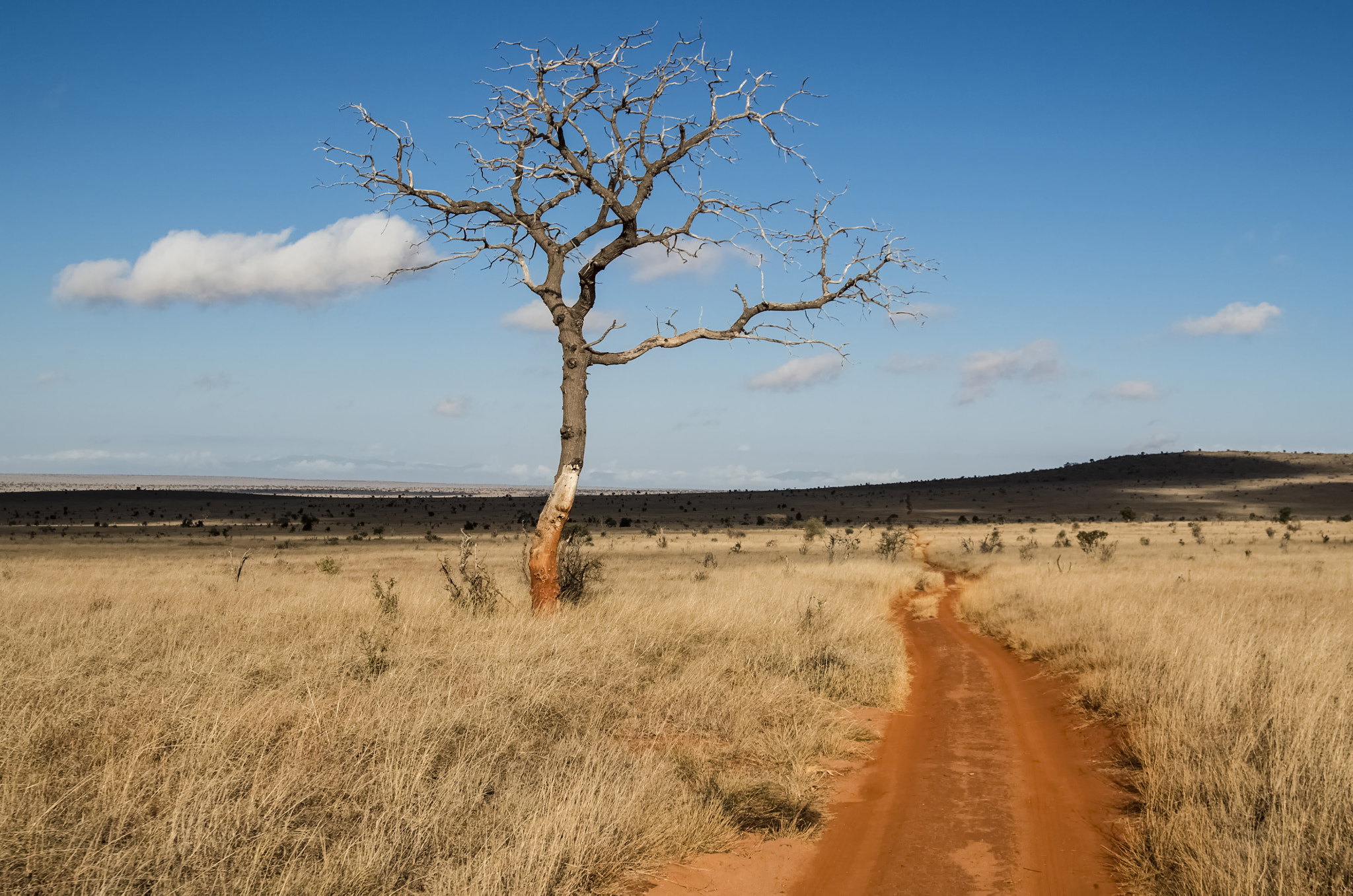 Pentax K-30 sample photo. African landscape photography