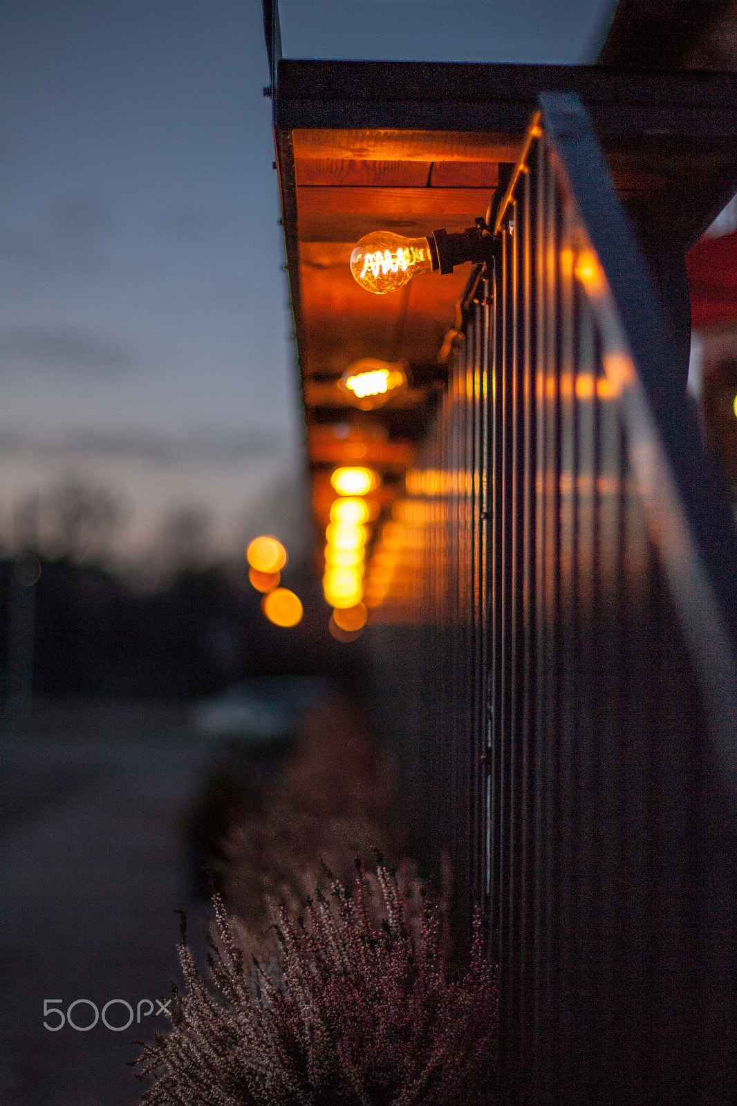 Canon EOS-1D Mark II N sample photo. Lings photography