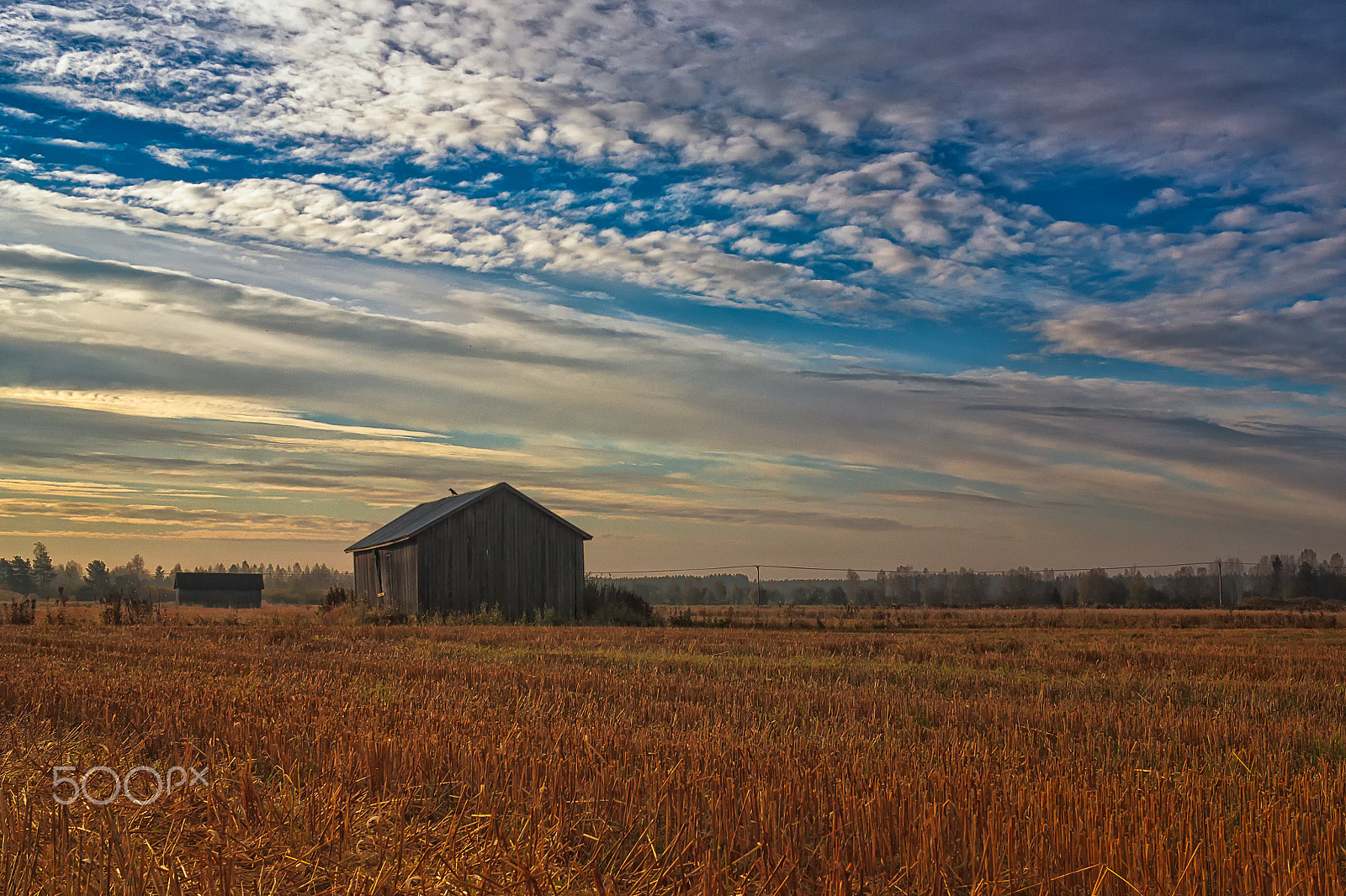 Canon EOS 50D + Canon EF-S 24mm F2.8 STM sample photo. Morning on the autumn fields photography
