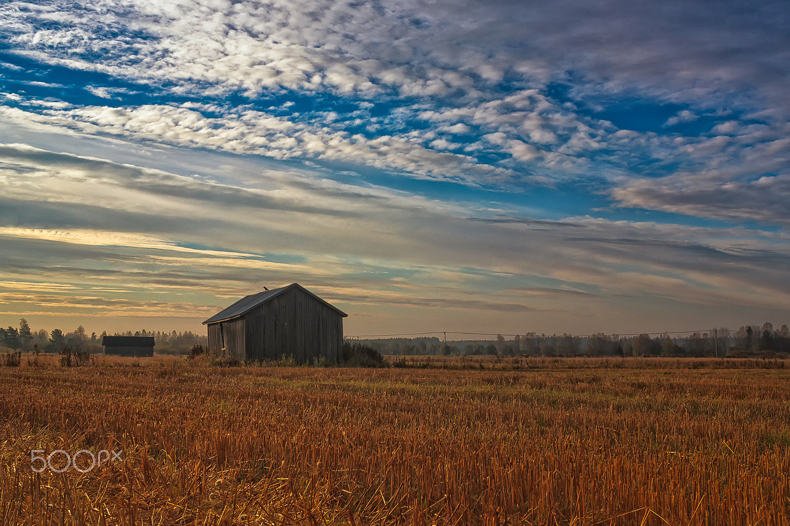 Canon EF-S 24mm F2.8 STM sample photo. Morning on the autumn fields photography