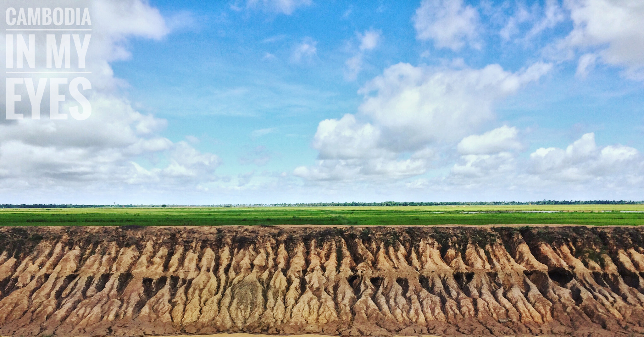 Apple iPhone6,1 sample photo. Rice field in prey veng, cambodia photography