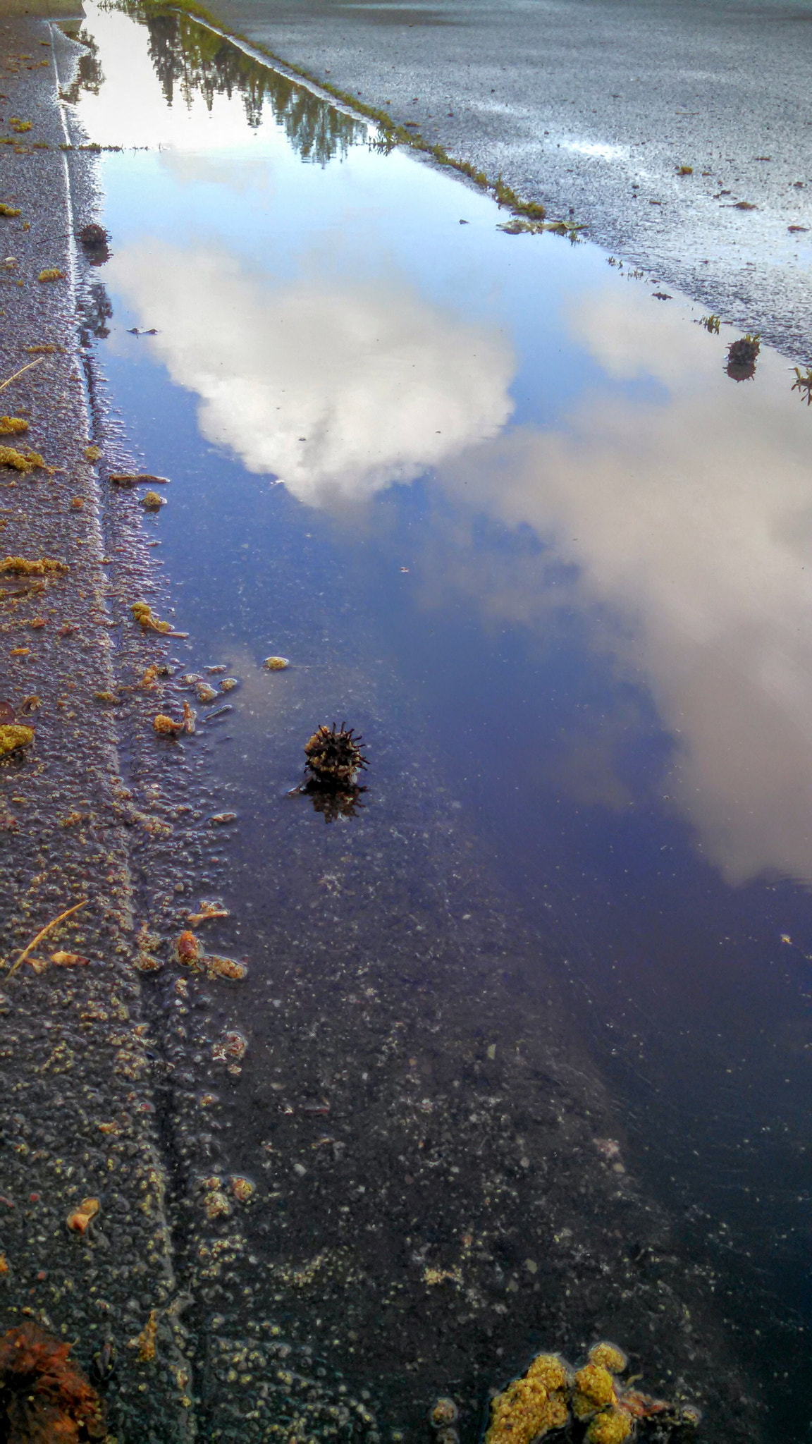 Motorola Electrify M sample photo. Walking on cloud 9-reflection on a sidewalk of the clouds and photography