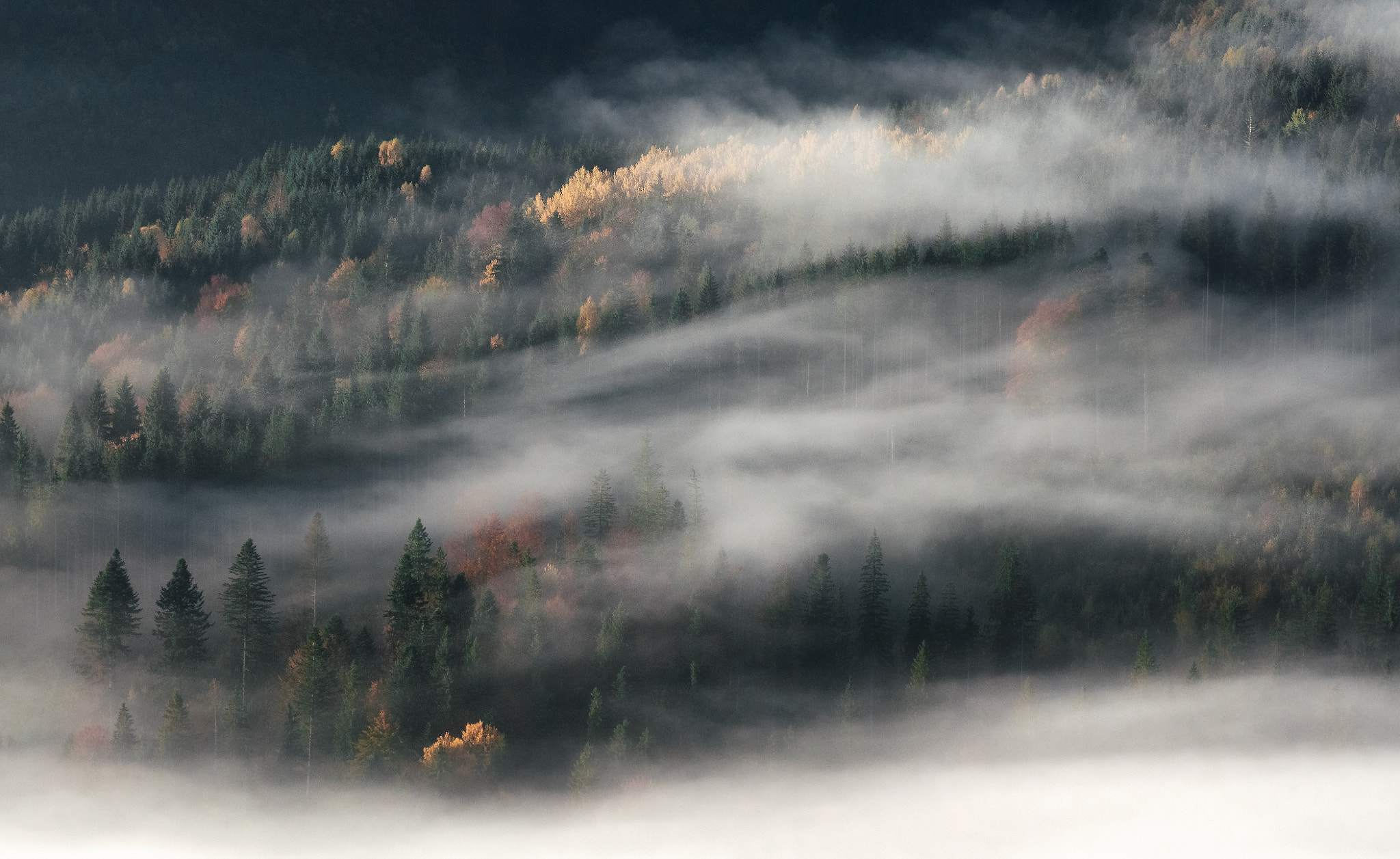 Nikon AF-Nikkor 80-200mm F2.8D ED sample photo. Mountain hills in autumn photography