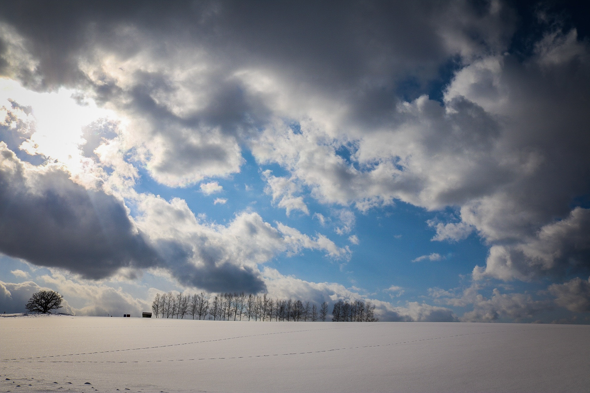 Canon EOS 750D (EOS Rebel T6i / EOS Kiss X8i) + Canon EF-S 18-55mm F3.5-5.6 IS STM sample photo. 僕は小さき物だと感じた photography