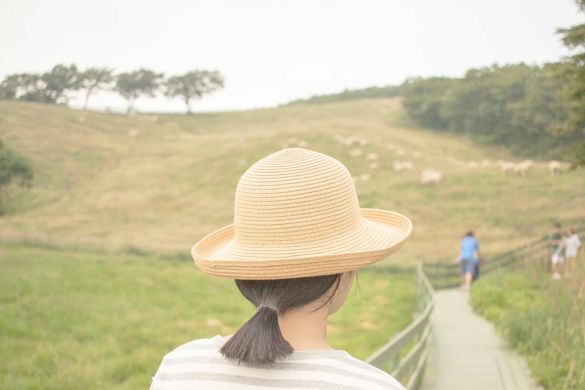 Canon EF-S 24mm F2.8 STM sample photo. F photography