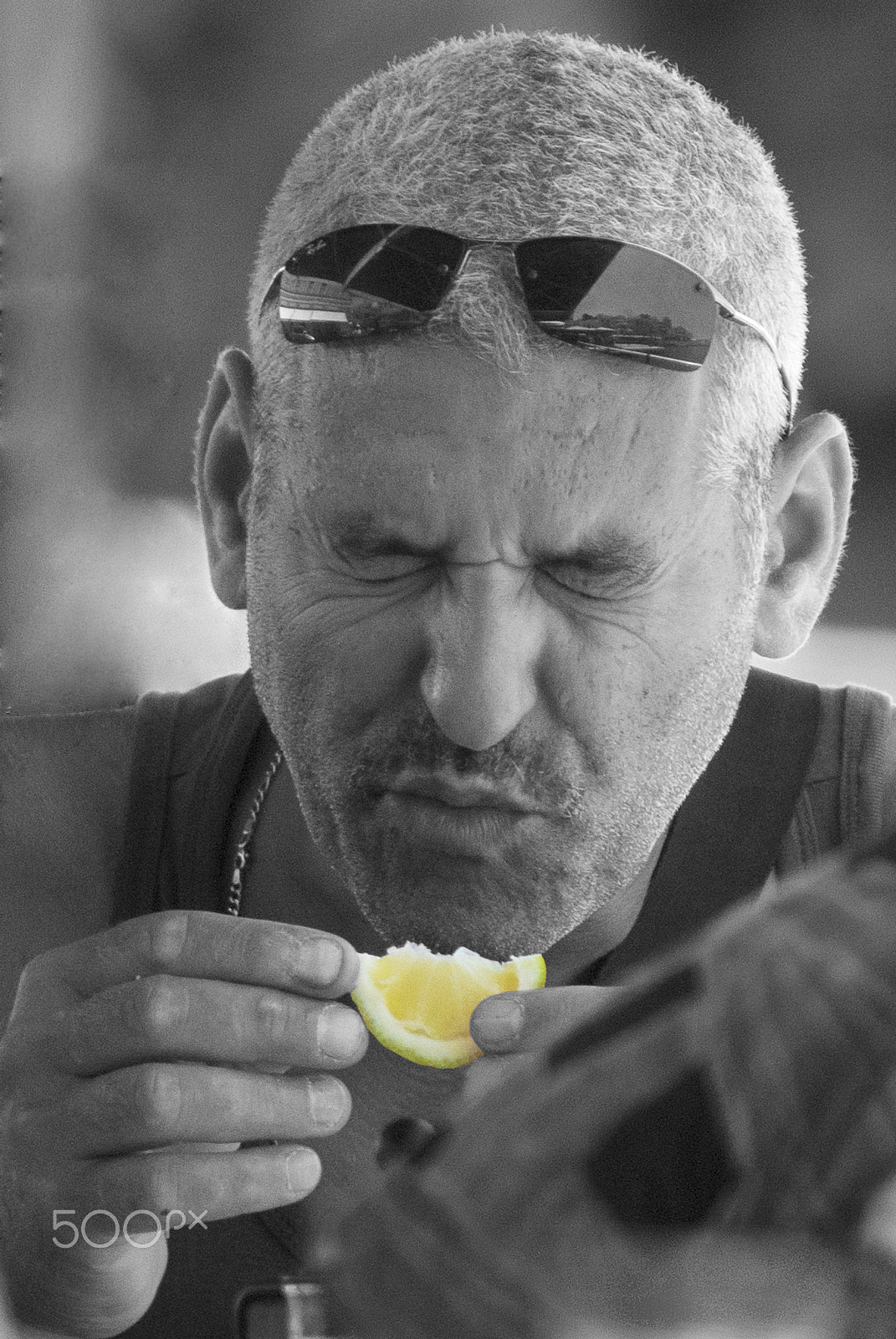 Nikon D80 sample photo. Lemon photography