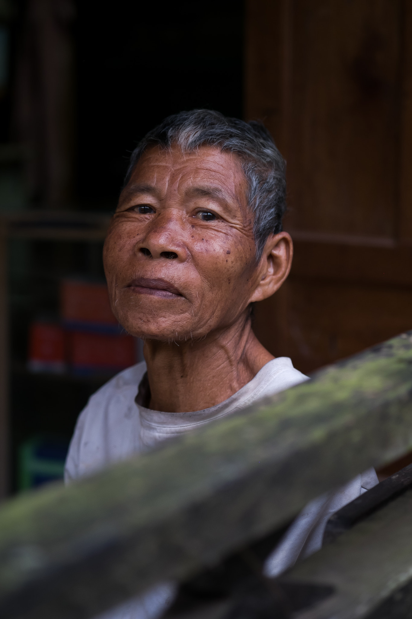 Fujifilm X-E1 + Fujifilm XF 60mm F2.4 R Macro sample photo. Muang ngoi man photography
