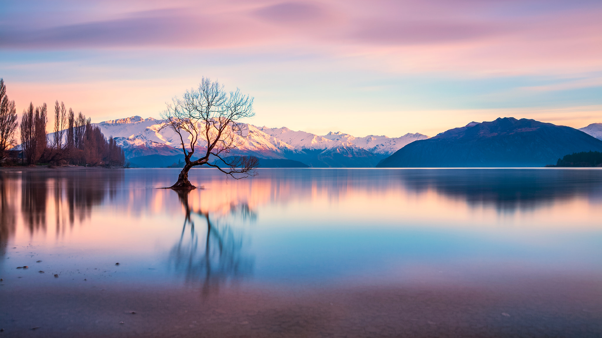 Canon EF 16-35mm F2.8L II USM sample photo. Wanaka tree photography