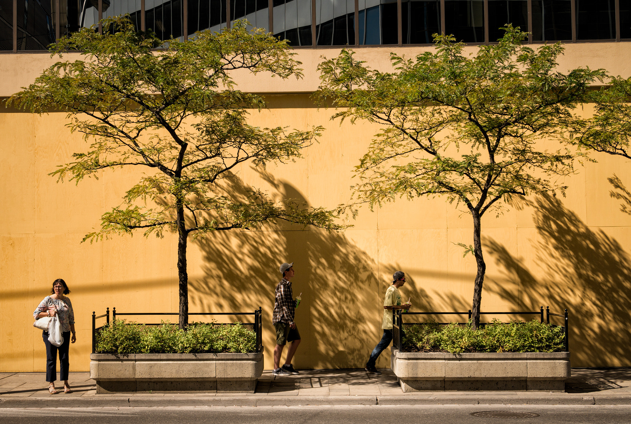 Sony E 18-200mm F3.5-6.3 OSS sample photo. Odds and evens photography