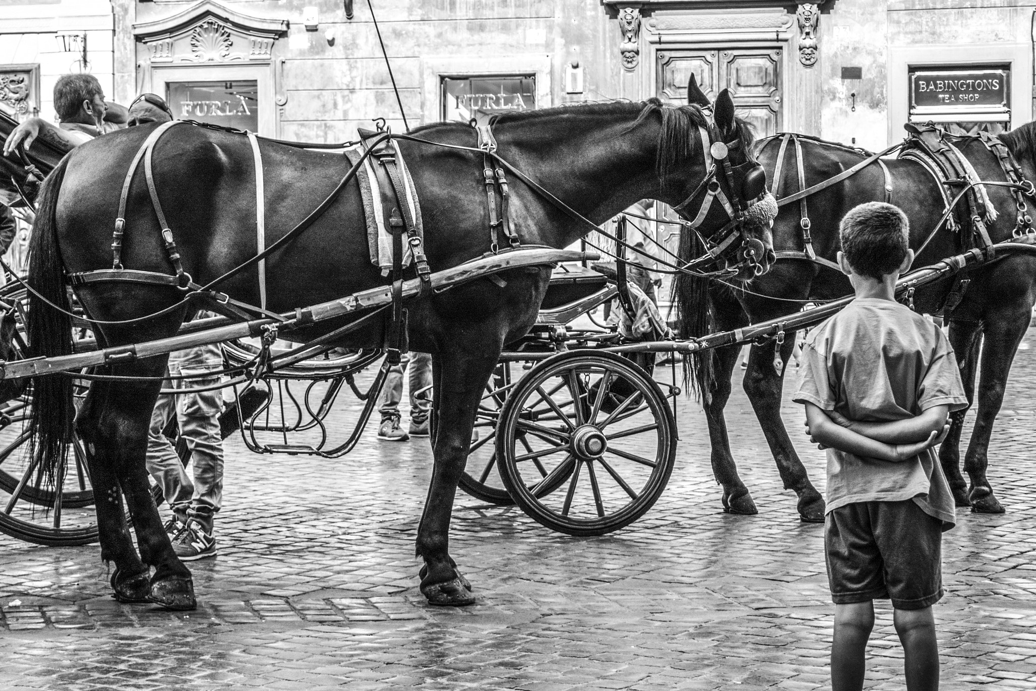 Nikon 1 J3 sample photo. Boy watching horses photography