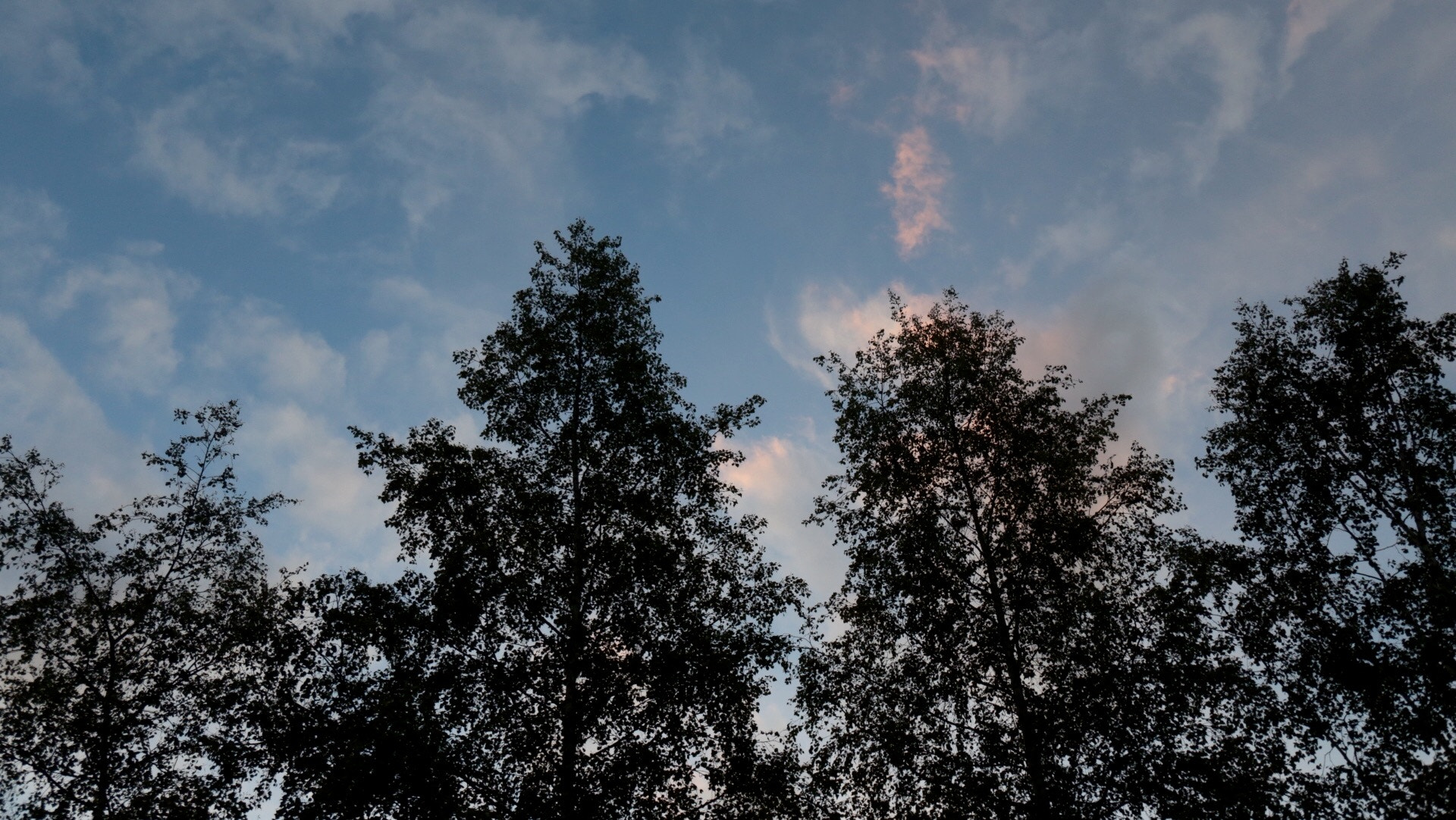 Canon EF 24-105mm F3.5-5.6 IS STM sample photo. Silhouette photography