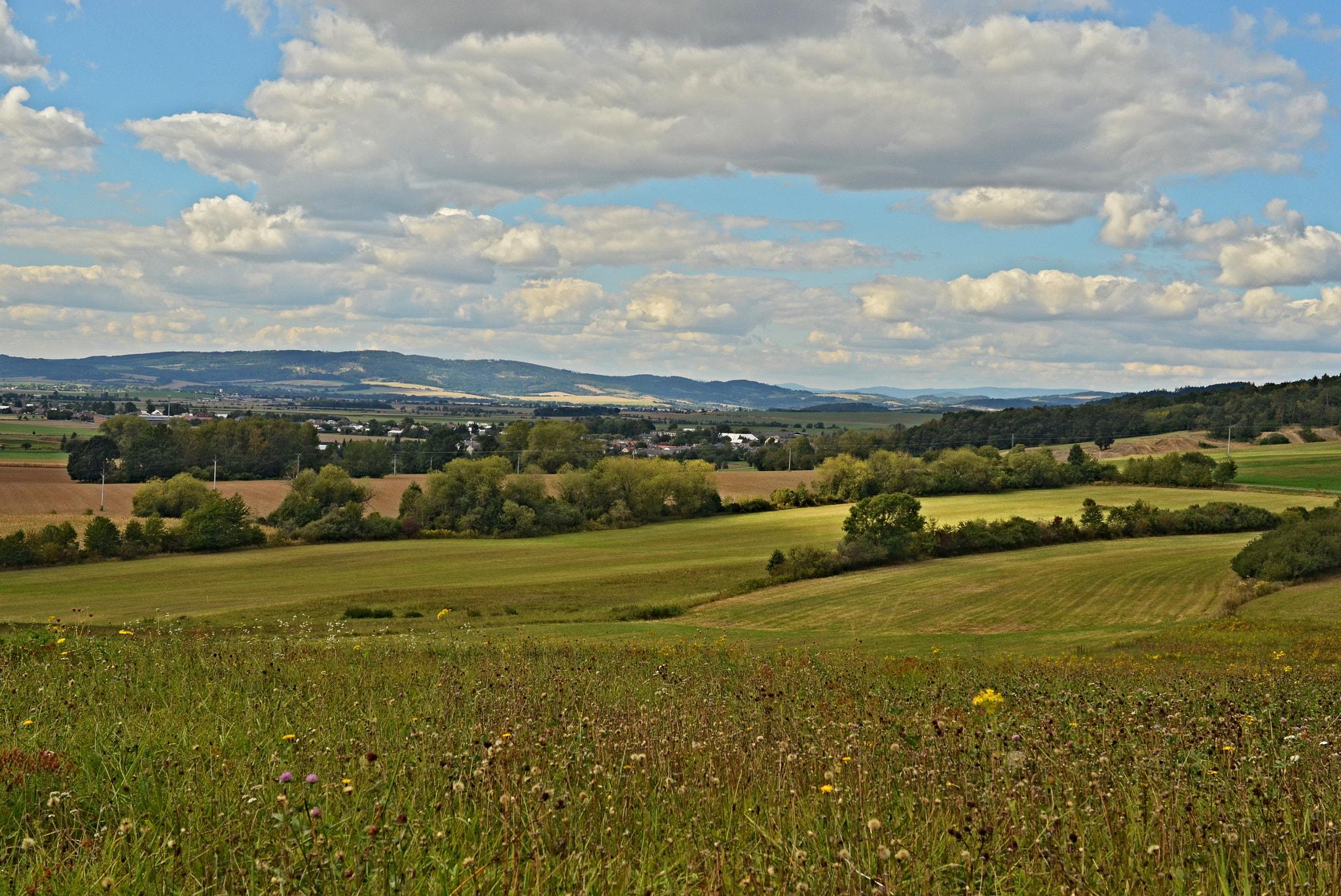 Nikon D5100 + Nikon AF-S Nikkor 28mm F1.8G sample photo. Beautiful day painted as-is lovely here ?? photography