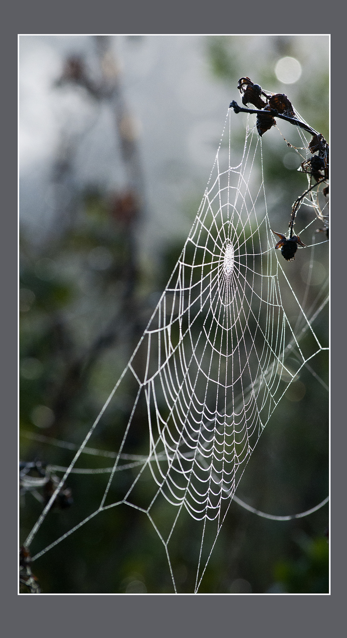 Nikon D300S sample photo. Фотограф Виктор Добрынин. photography