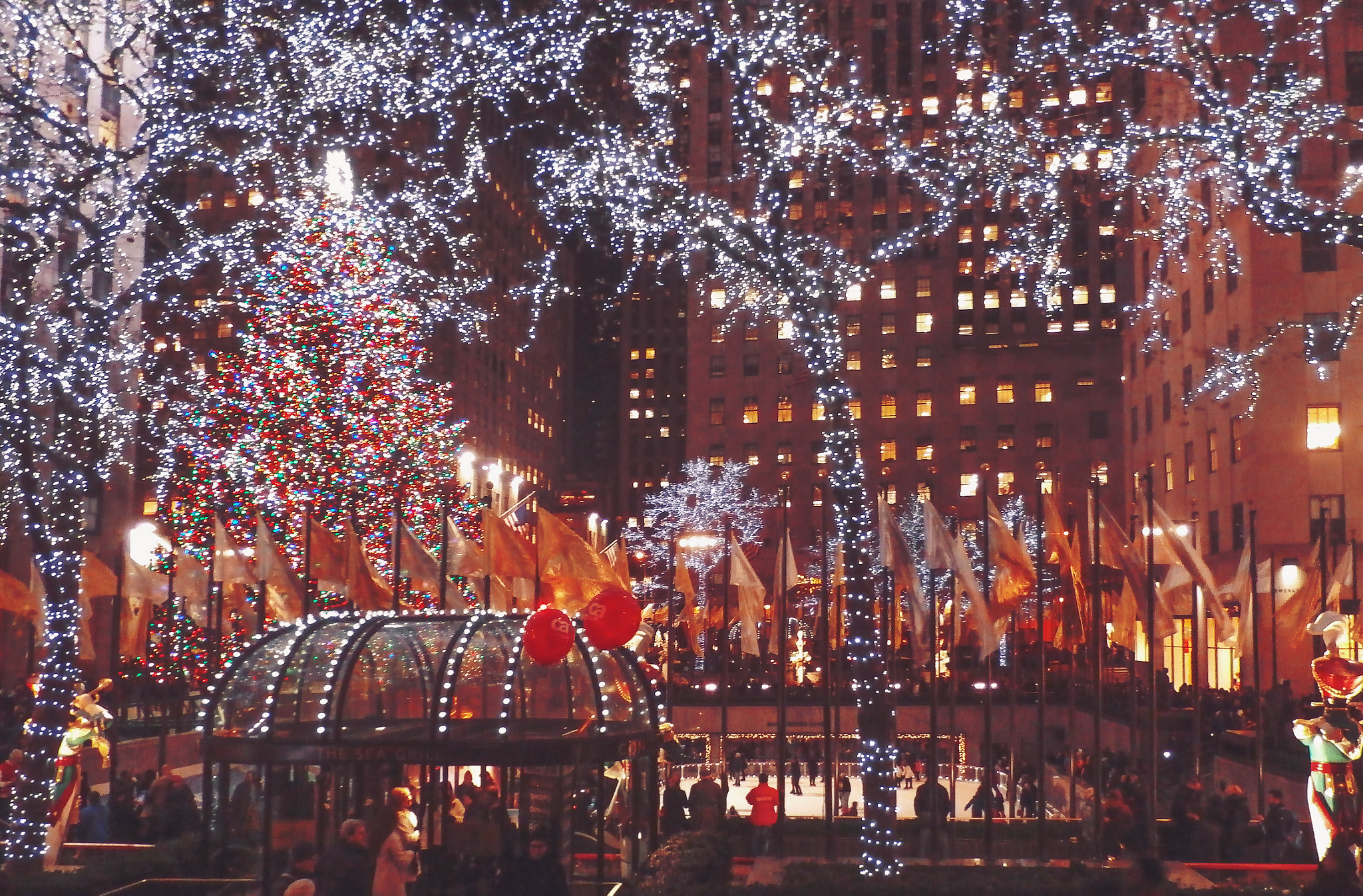 Olympus SZ-15,DZ-100 sample photo. Christmas time in manhattan photography