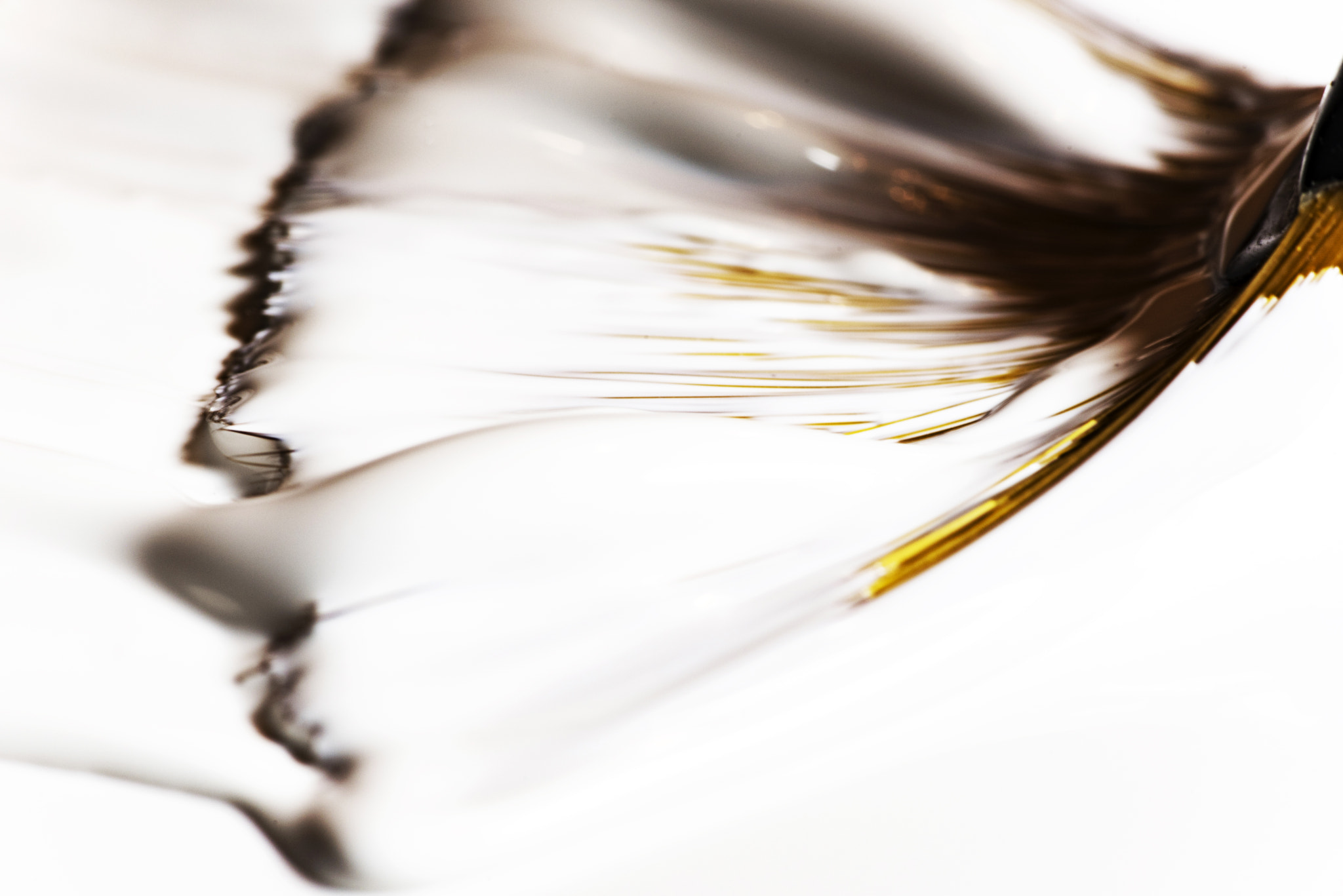 Tokina AT-X Pro 100mm F2.8 Macro sample photo. Paint it white photography