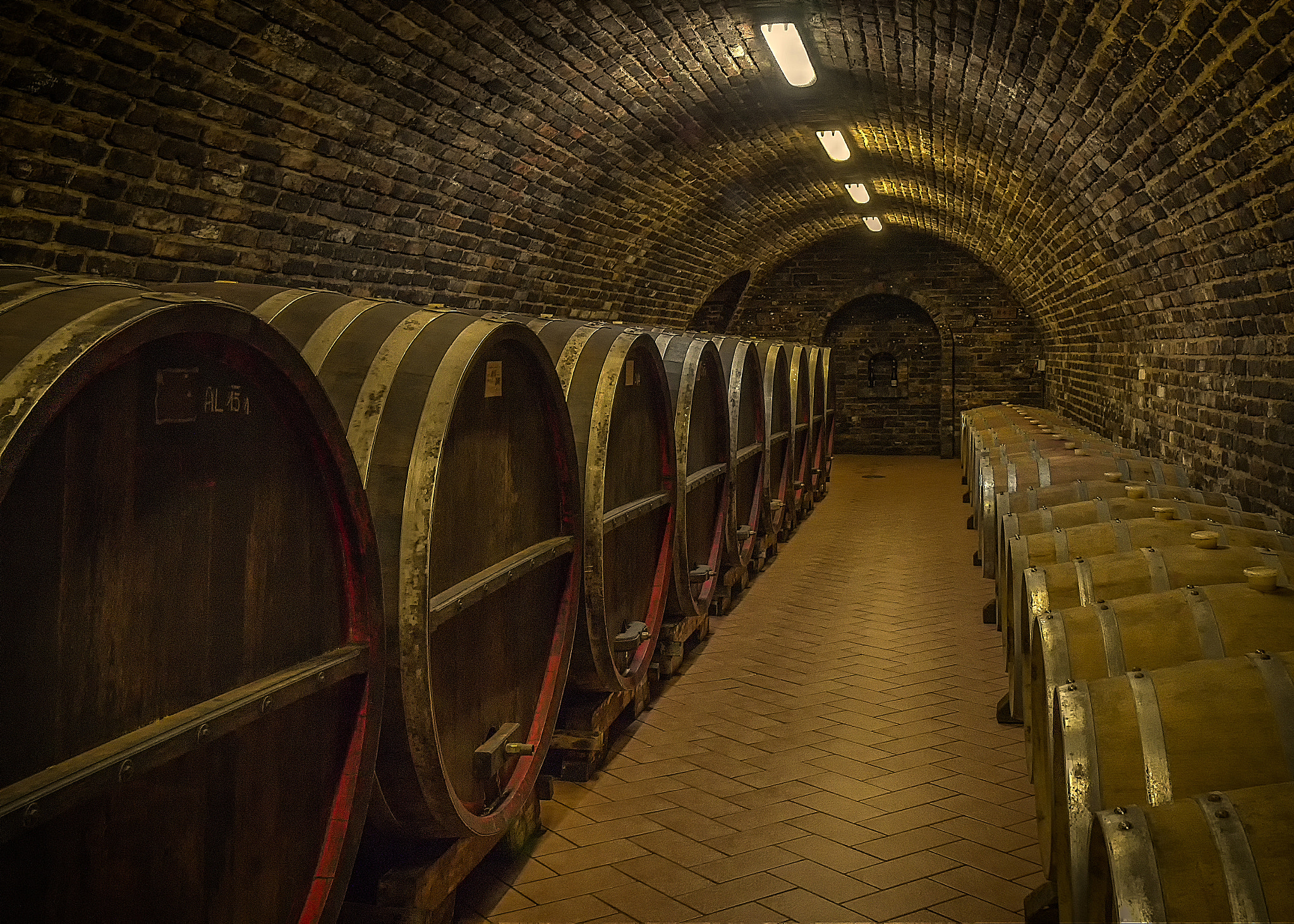 Olympus Zuiko Digital ED 12-60mm F2.8-4.0 SWD sample photo. In the wine cellar photography