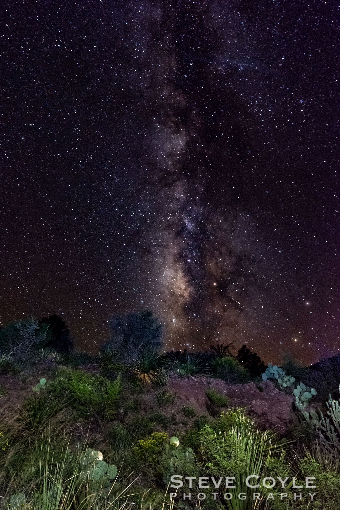 Nikon AF-S Nikkor 14-24mm F2.8G ED sample photo. Desert light photography