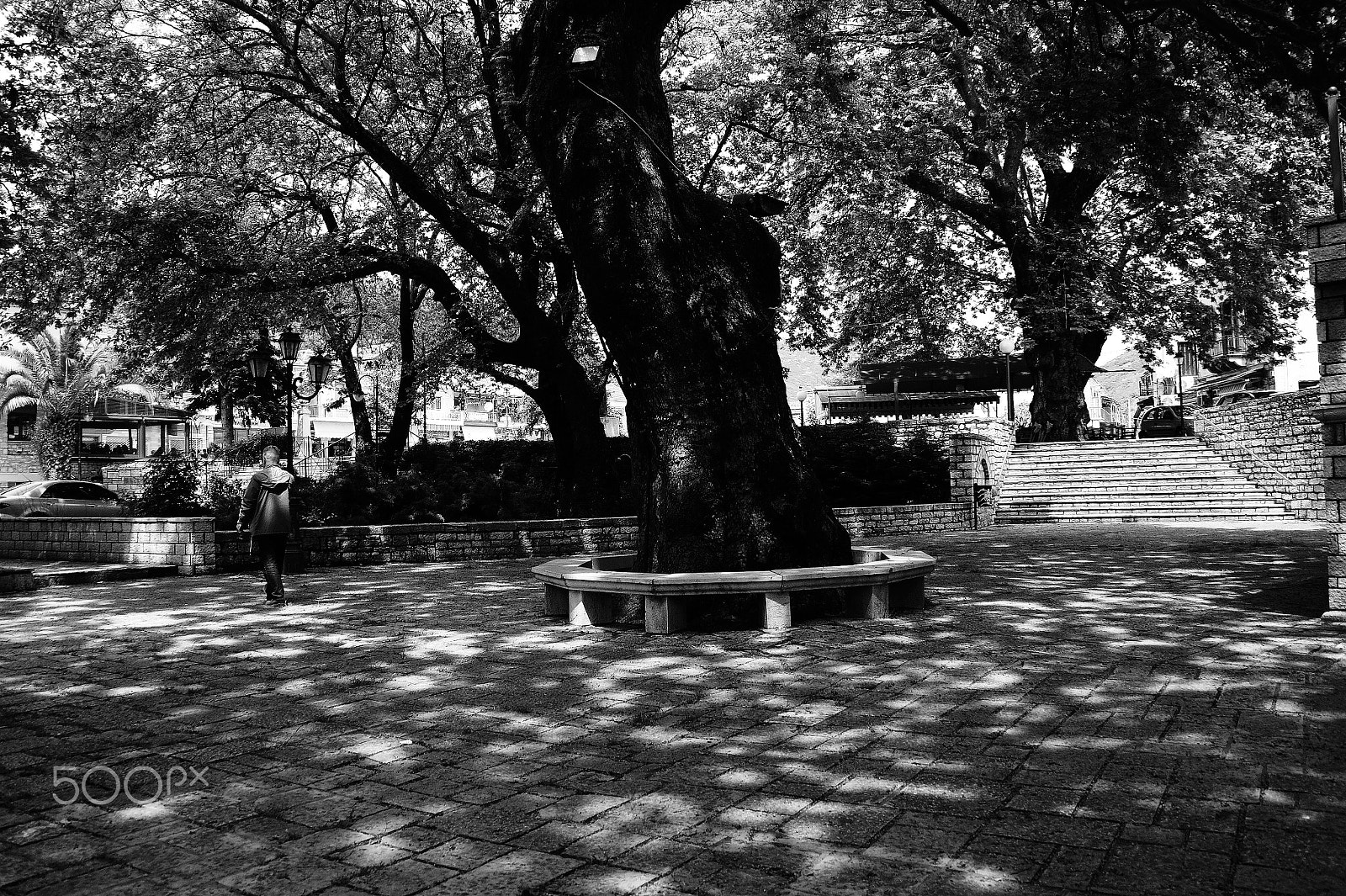 Sony DT 18-200mm F3.5-6.3 sample photo. Walking out of the shadows photography