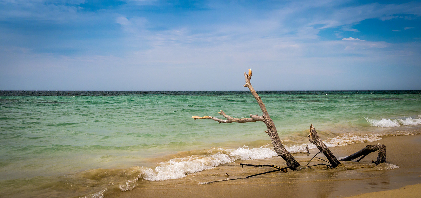 LUMIX G VARIO PZ 14-42/F3.5-5.6 sample photo. Castaway photography