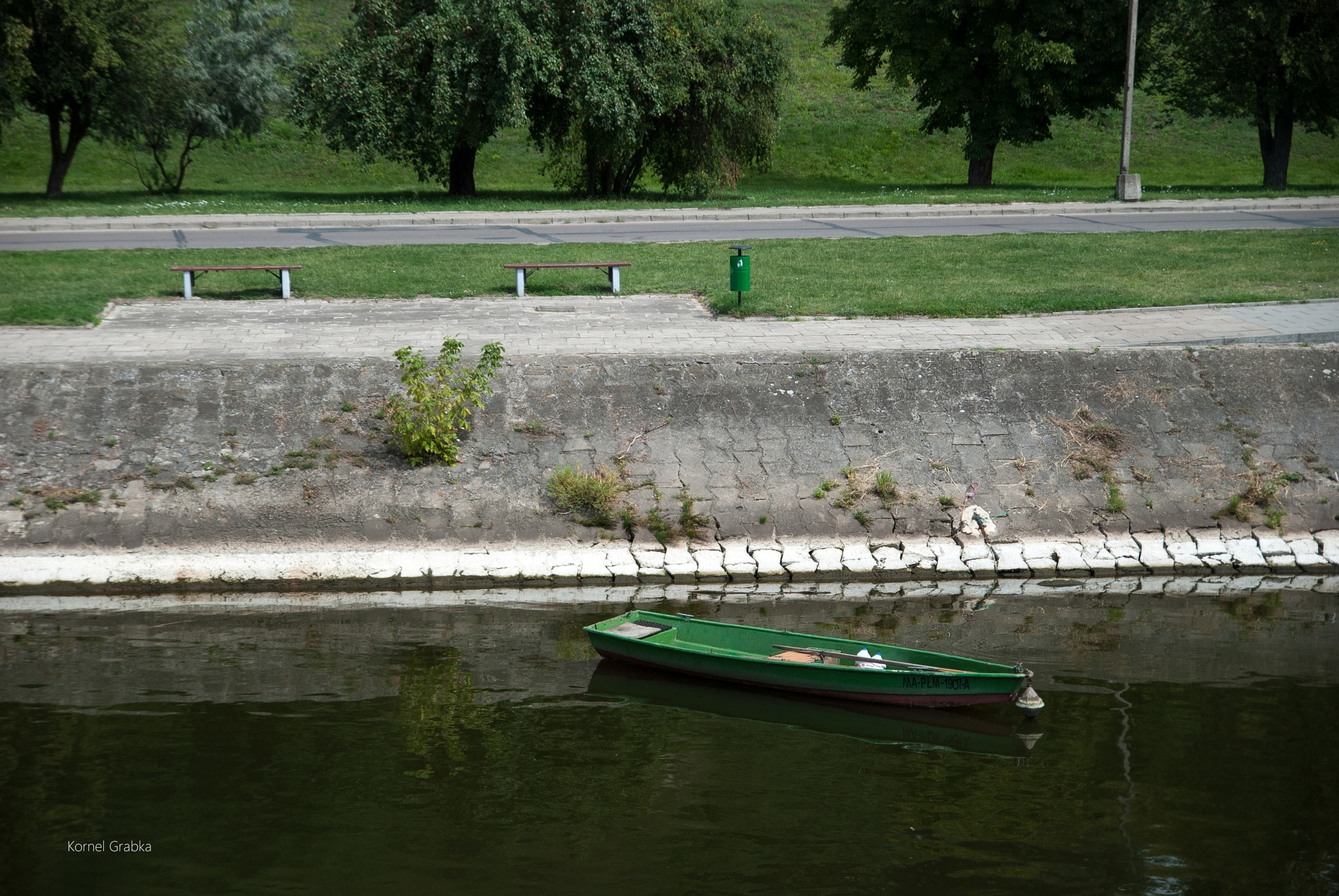 Nikon D80 sample photo. Green #05 photography