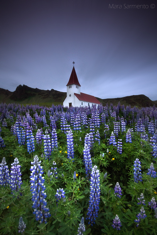 Sigma AF 10-20mm F4-5.6 EX DC sample photo. "storm pressage" photography