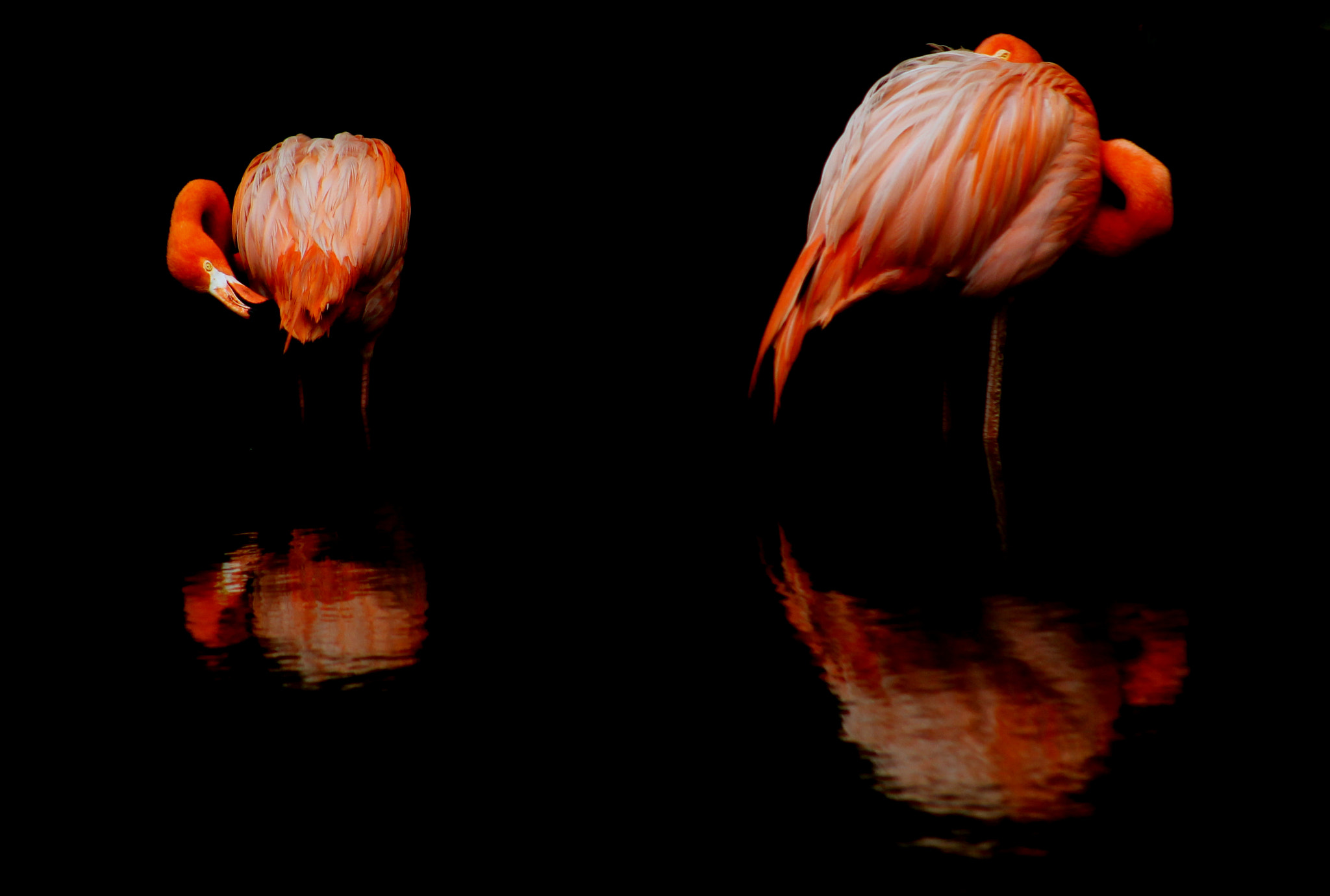 Canon EF 75-300mm f/4-5.6 USM sample photo. Nature magic photography