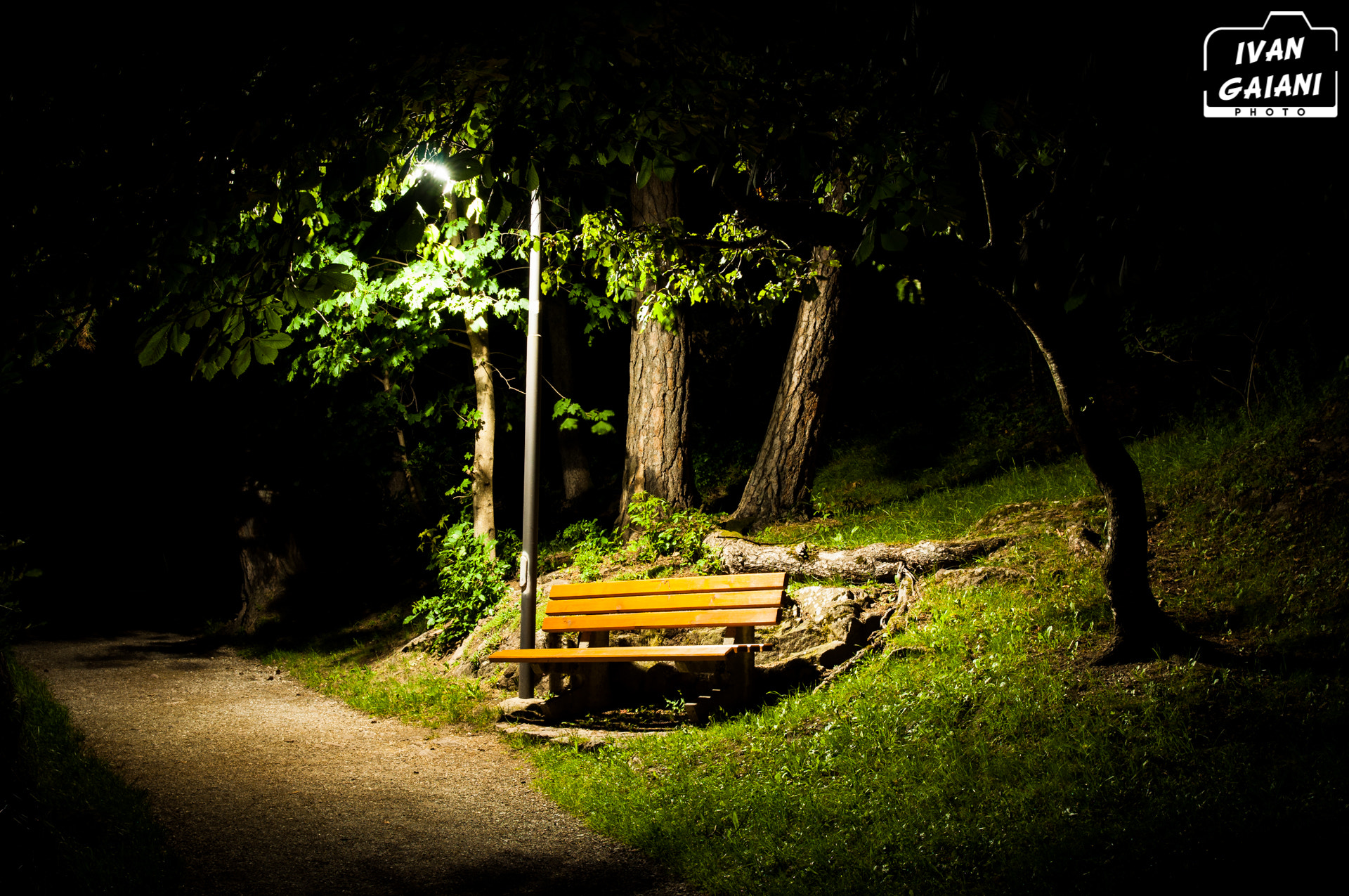 Nikon AF-S Nikkor 200-400mm F4G ED-IF VR sample photo. The night's thoughts photography