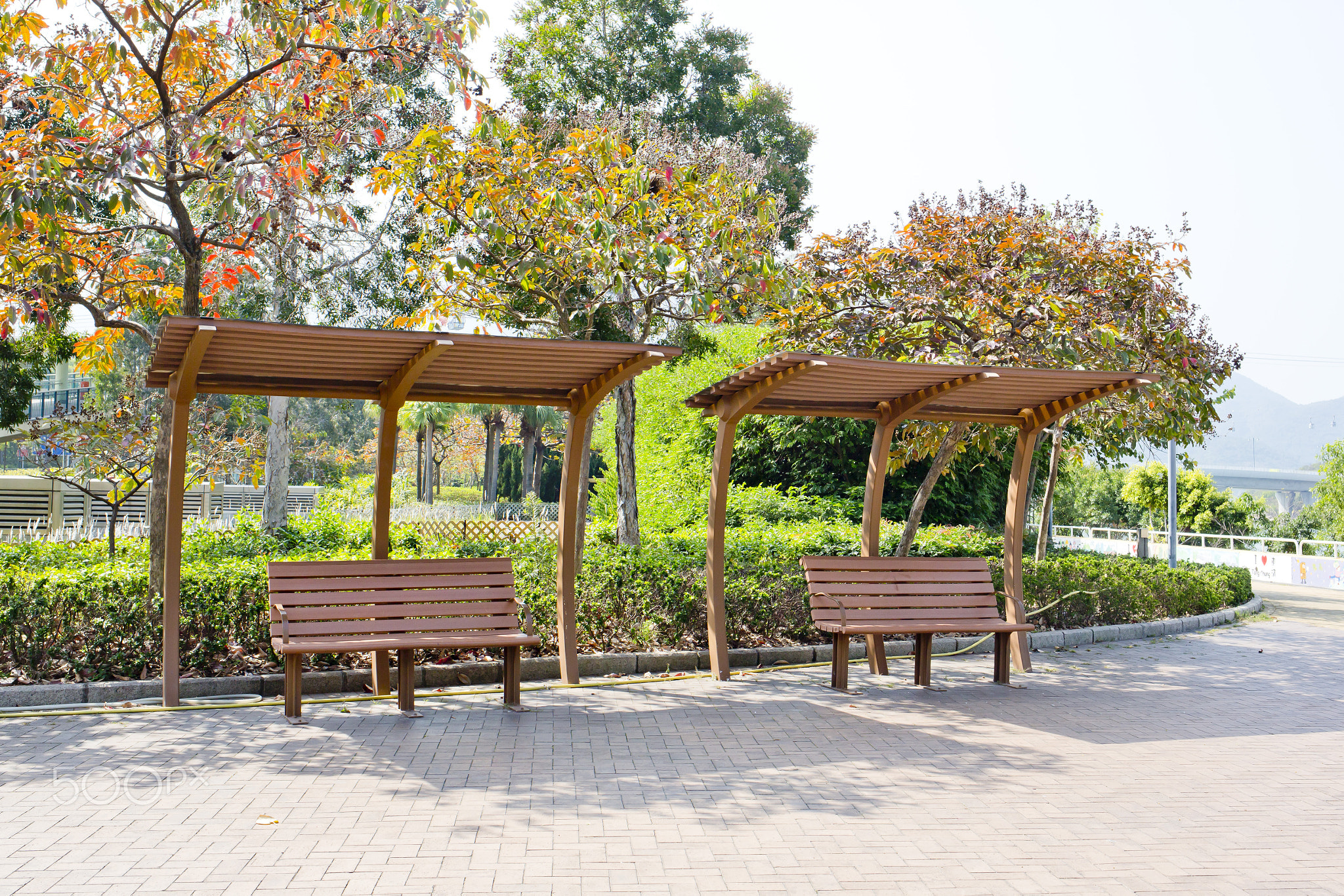 Rustic pergolas with benches under blossoming trees