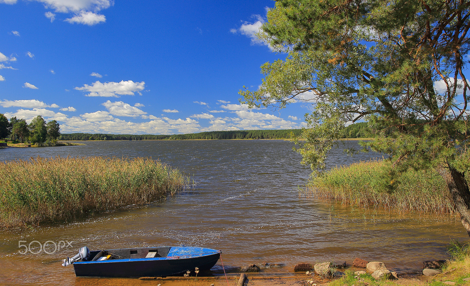 Canon EF 28-80mm f/2.8-4L sample photo. The summer landscape on the lake photography