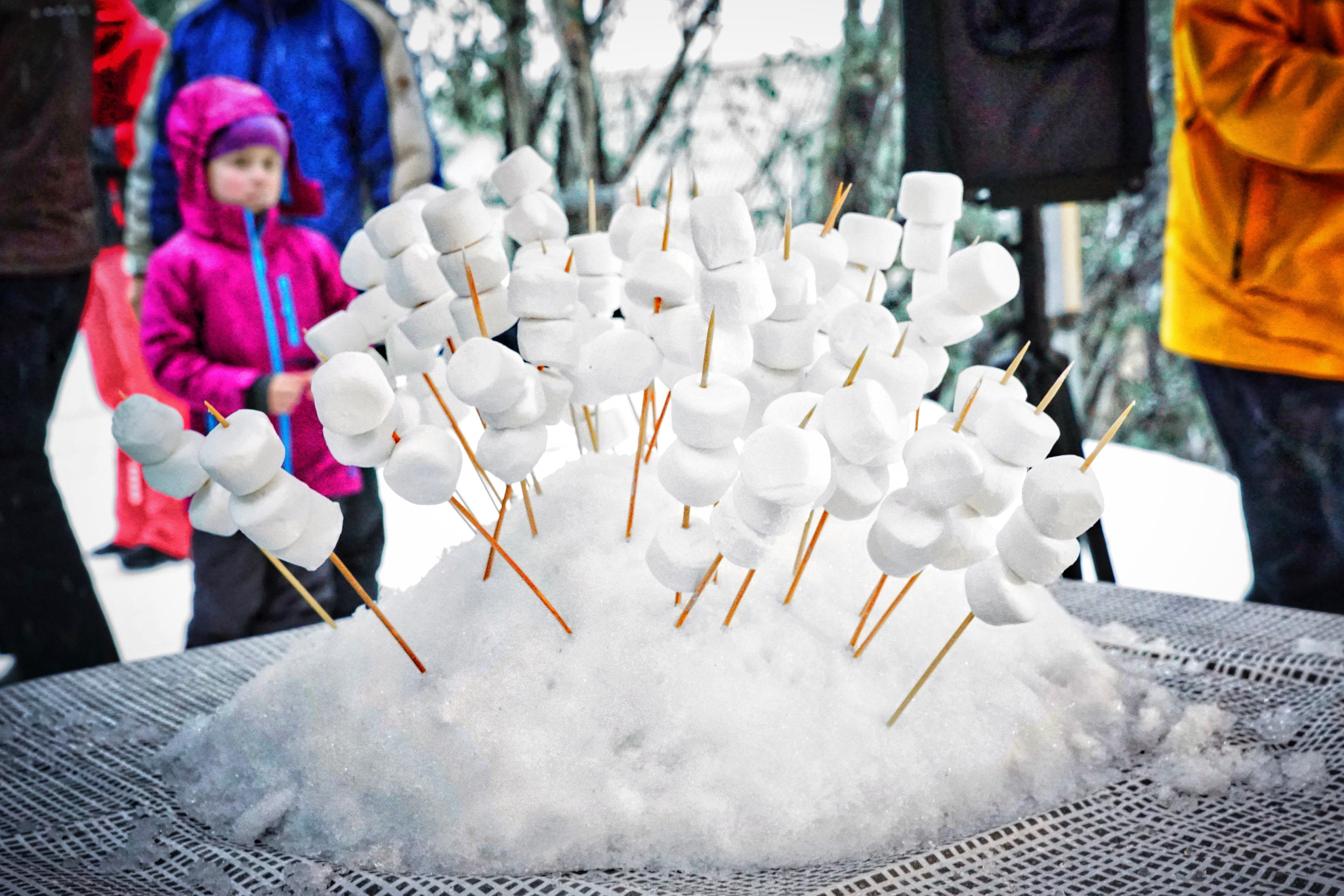 Sony ILCA-77M2 + Sony Vario-Sonnar T* 24-70mm F2.8 ZA SSM sample photo. Marshmallows in the snow photography