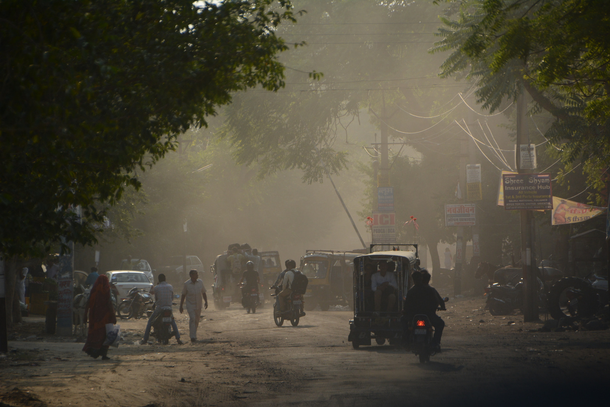 Sigma 18-250mm F3.5-6.3 DC OS HSM sample photo. India photography