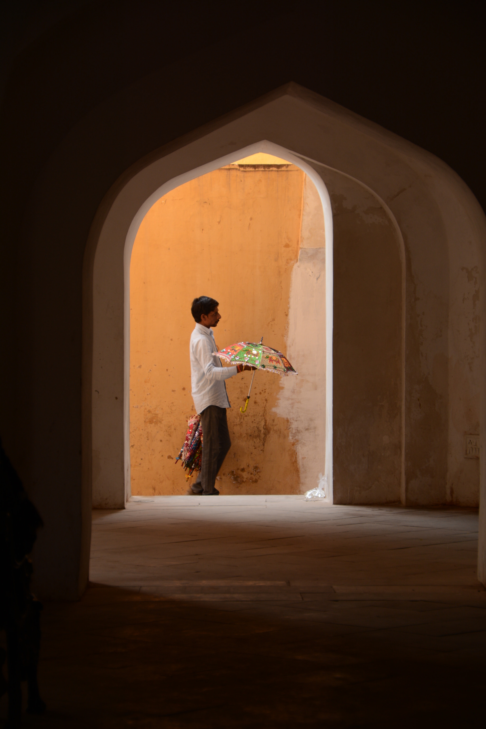 Sigma 18-250mm F3.5-6.3 DC OS HSM sample photo. India photography