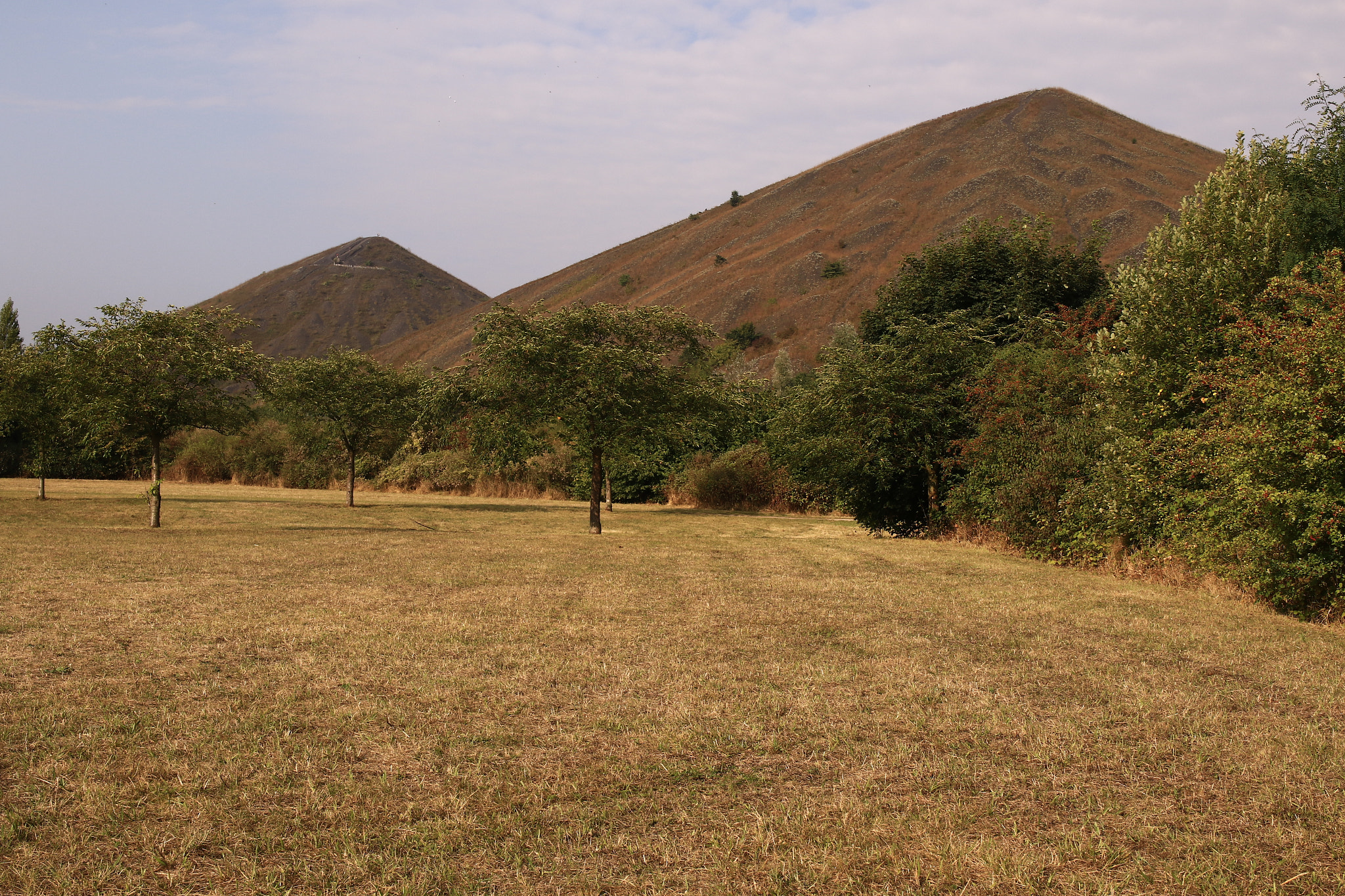 Sigma 17-70mm F2.8-4 DC Macro OS HSM sample photo. #terril #loos-en-gohelle #haut-de-france photography