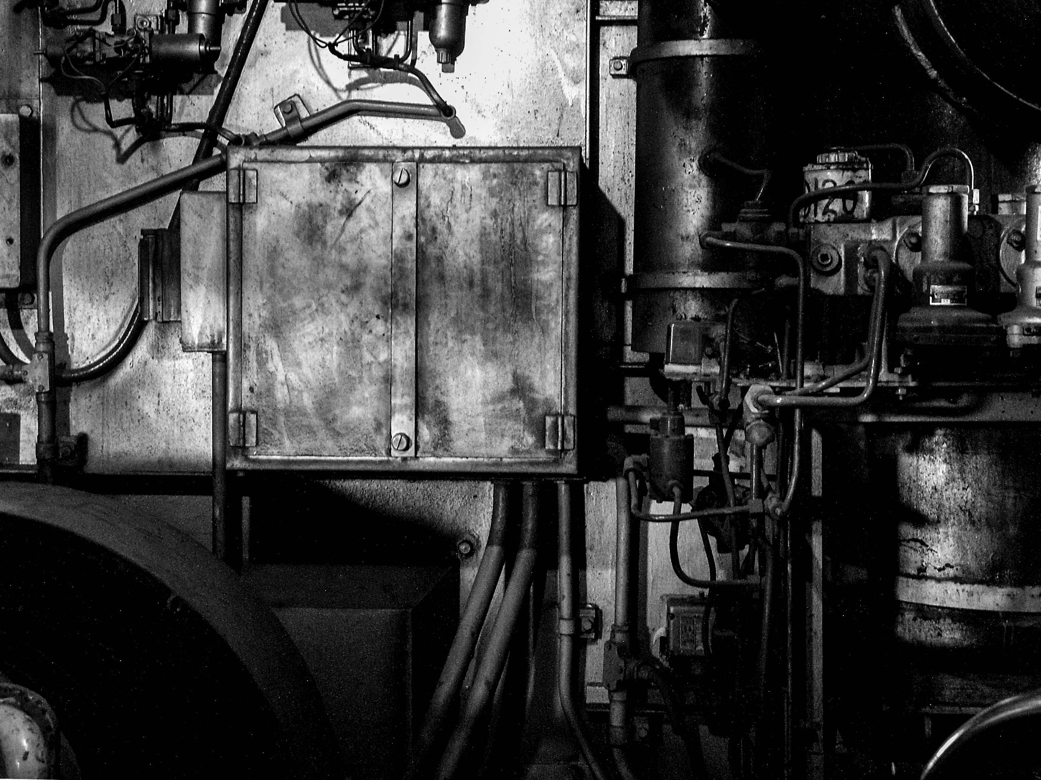 KONICA MINOLTA DiMAGE A1 sample photo. The heart of a loco photography