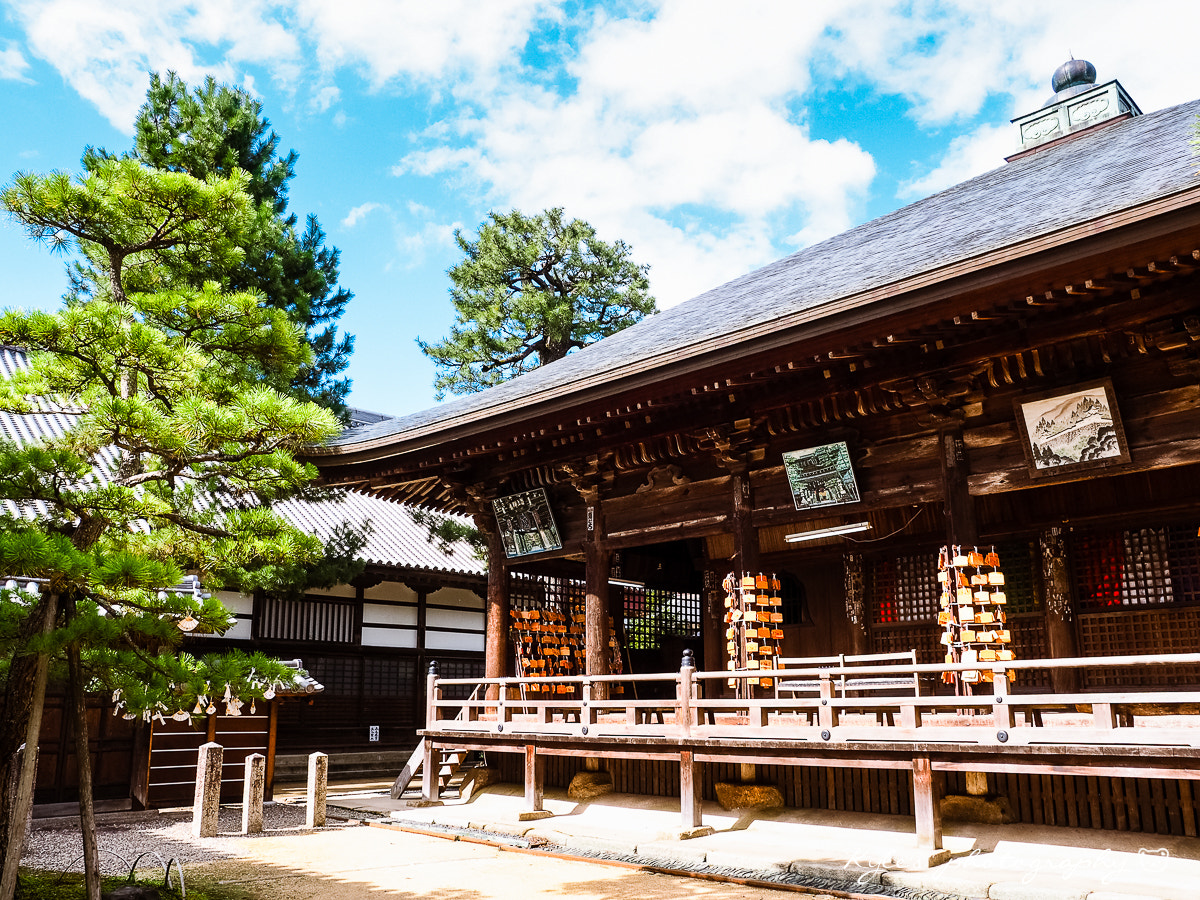 Olympus Zuiko Digital 14-54mm F2.8-3.5 II sample photo. 智恩寺 文殊堂 photography