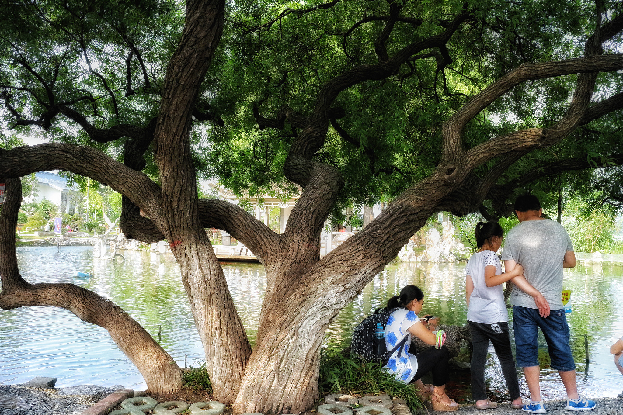 Canon EOS M2 sample photo. 玄武湖 photography