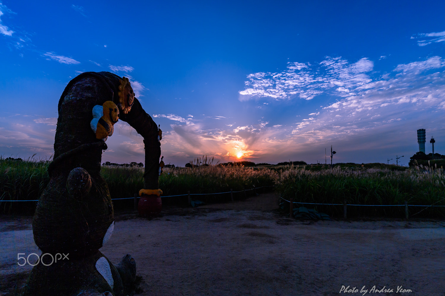 Nikon D5 + ZEISS Distagon T* 15mm F2.8 sample photo. When the sun goes down photography