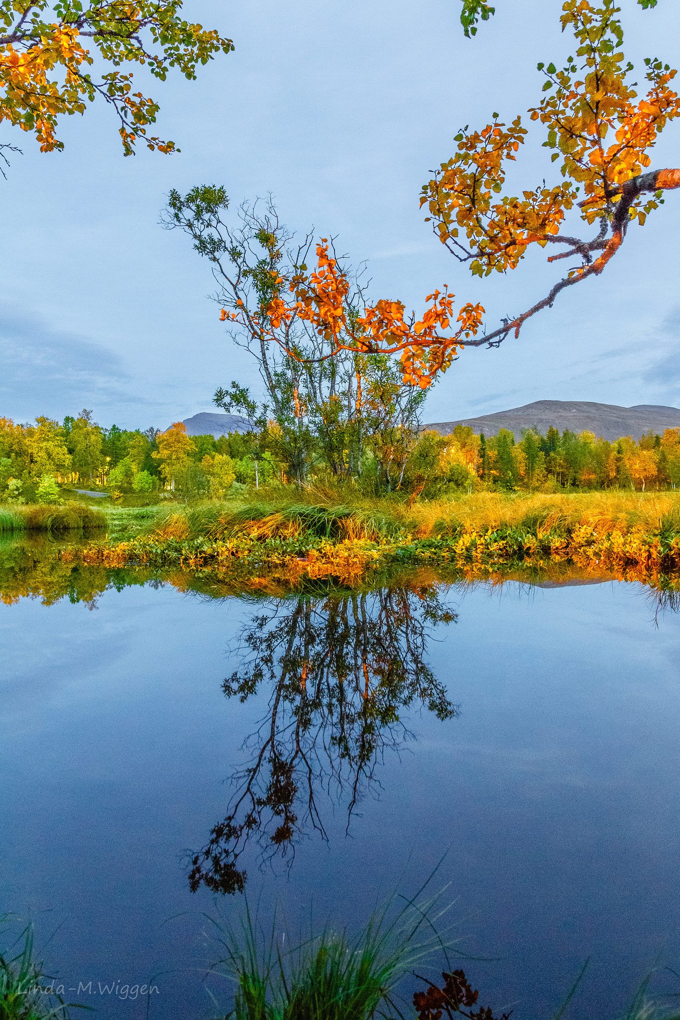 Sigma 17-70mm F2.8-4 DC Macro OS HSM sample photo. Autumn  photography