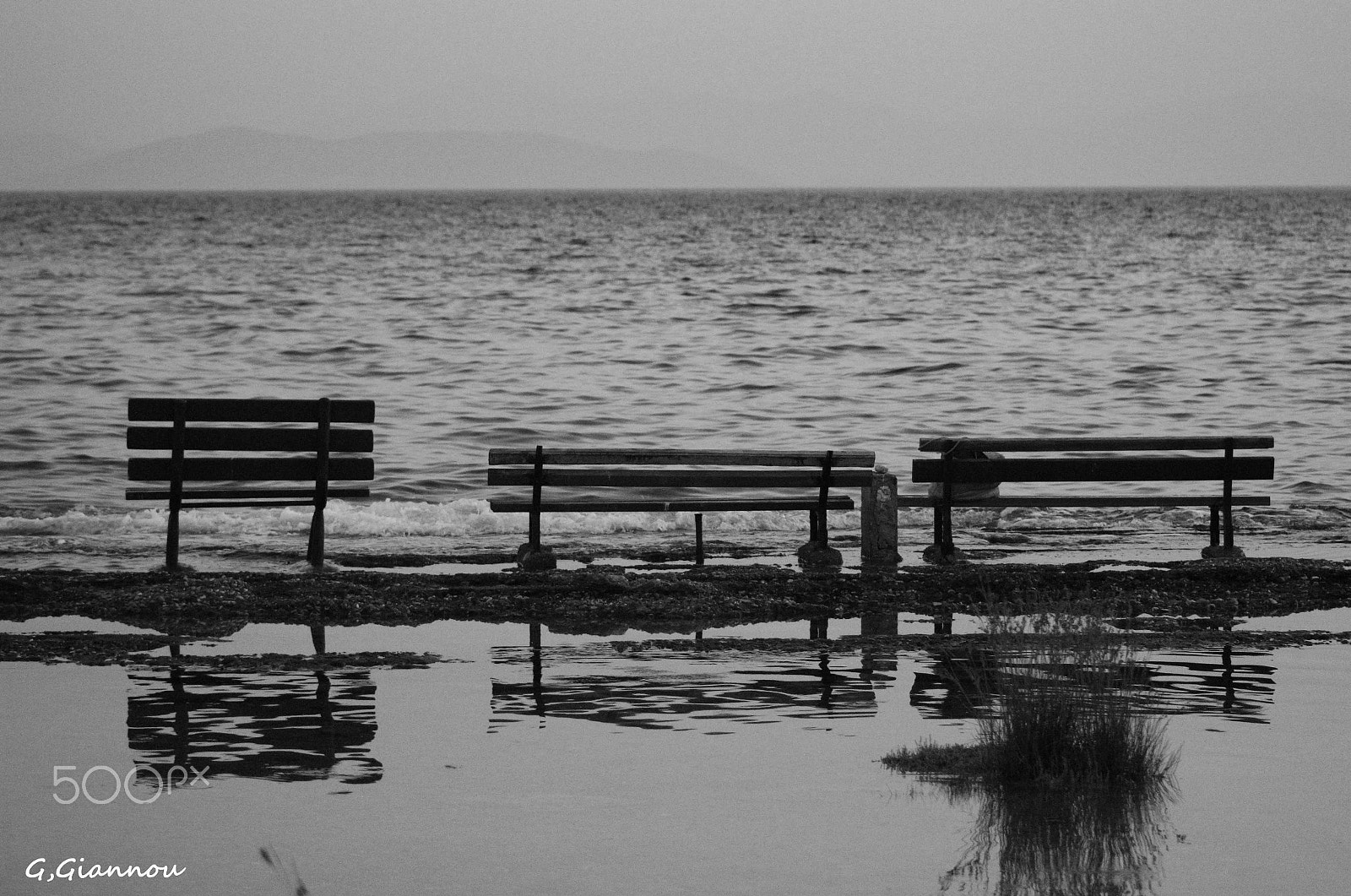 Canon EF 75-300mm f/4-5.6 USM sample photo. Competely alone photography