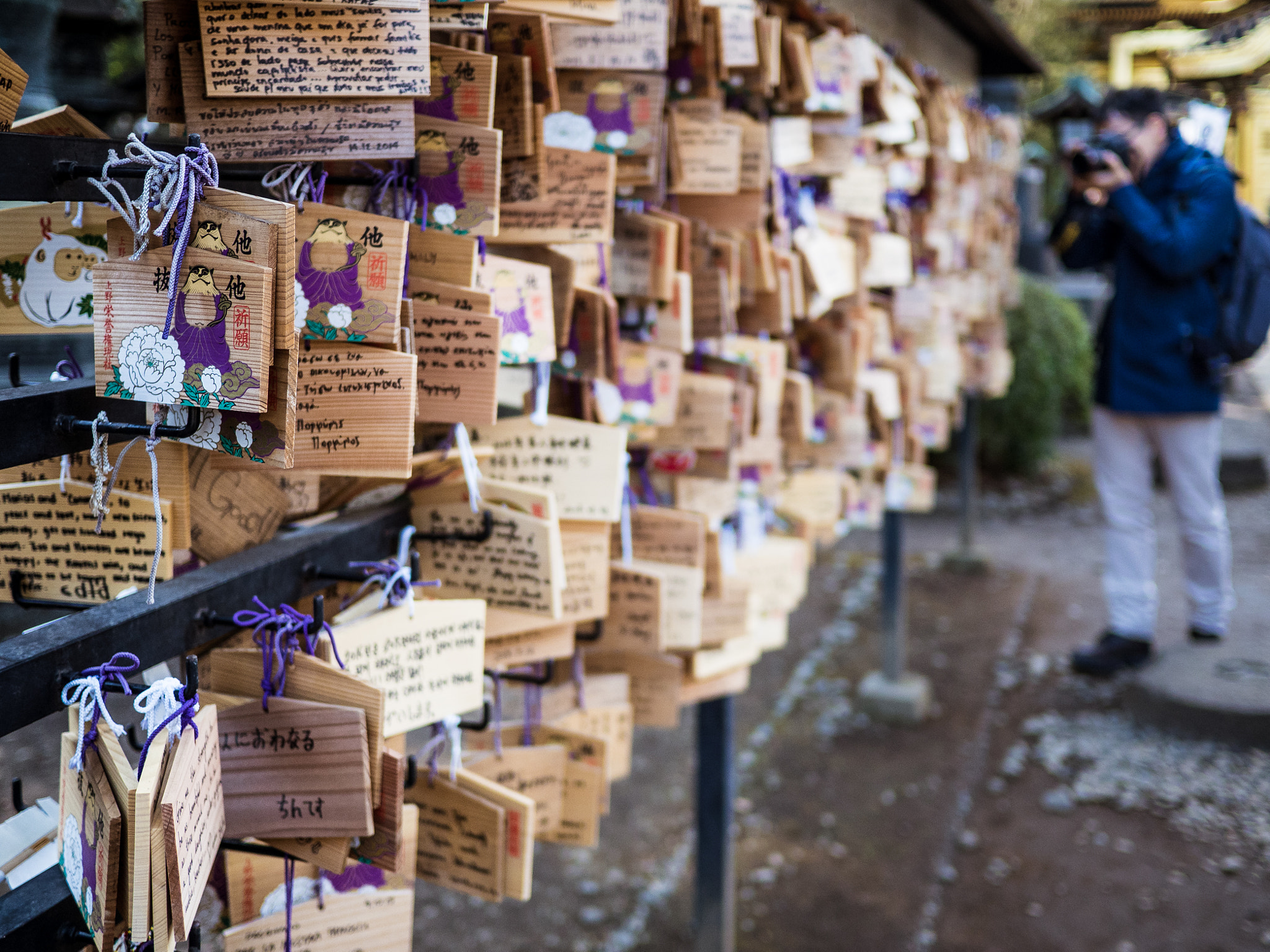 Olympus OM-D E-M5 II + LUMIX G 20/F1.7 II sample photo. Wish planks photography