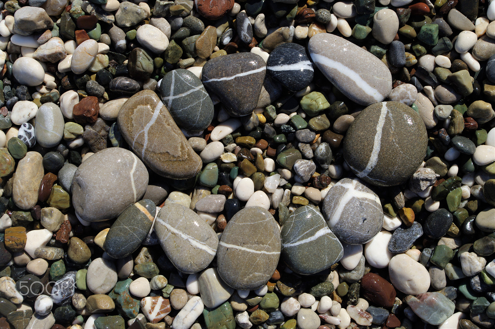 Samsung GX-20 sample photo. Circle... photography