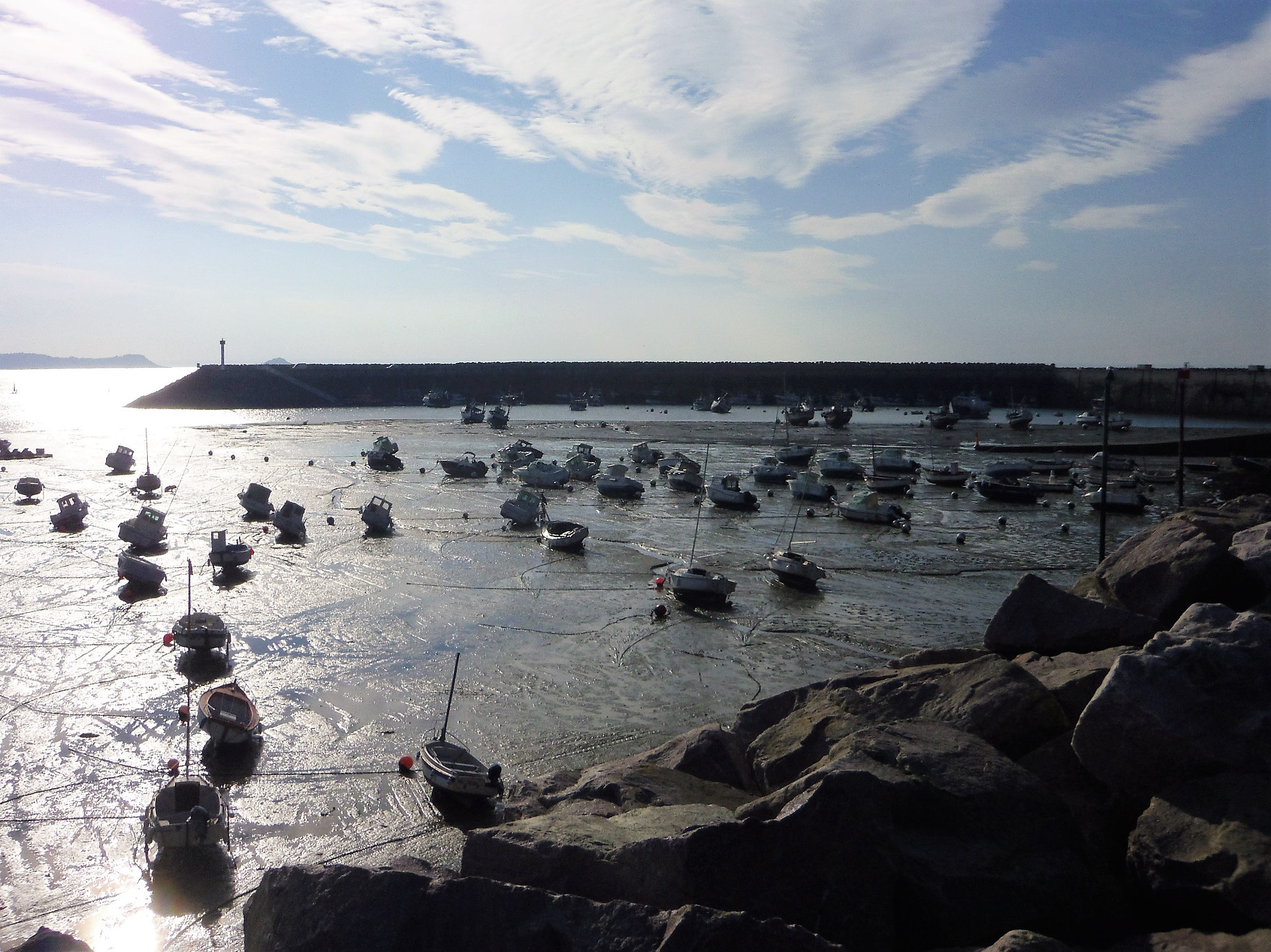 Pentax Optio S1 sample photo. () photography