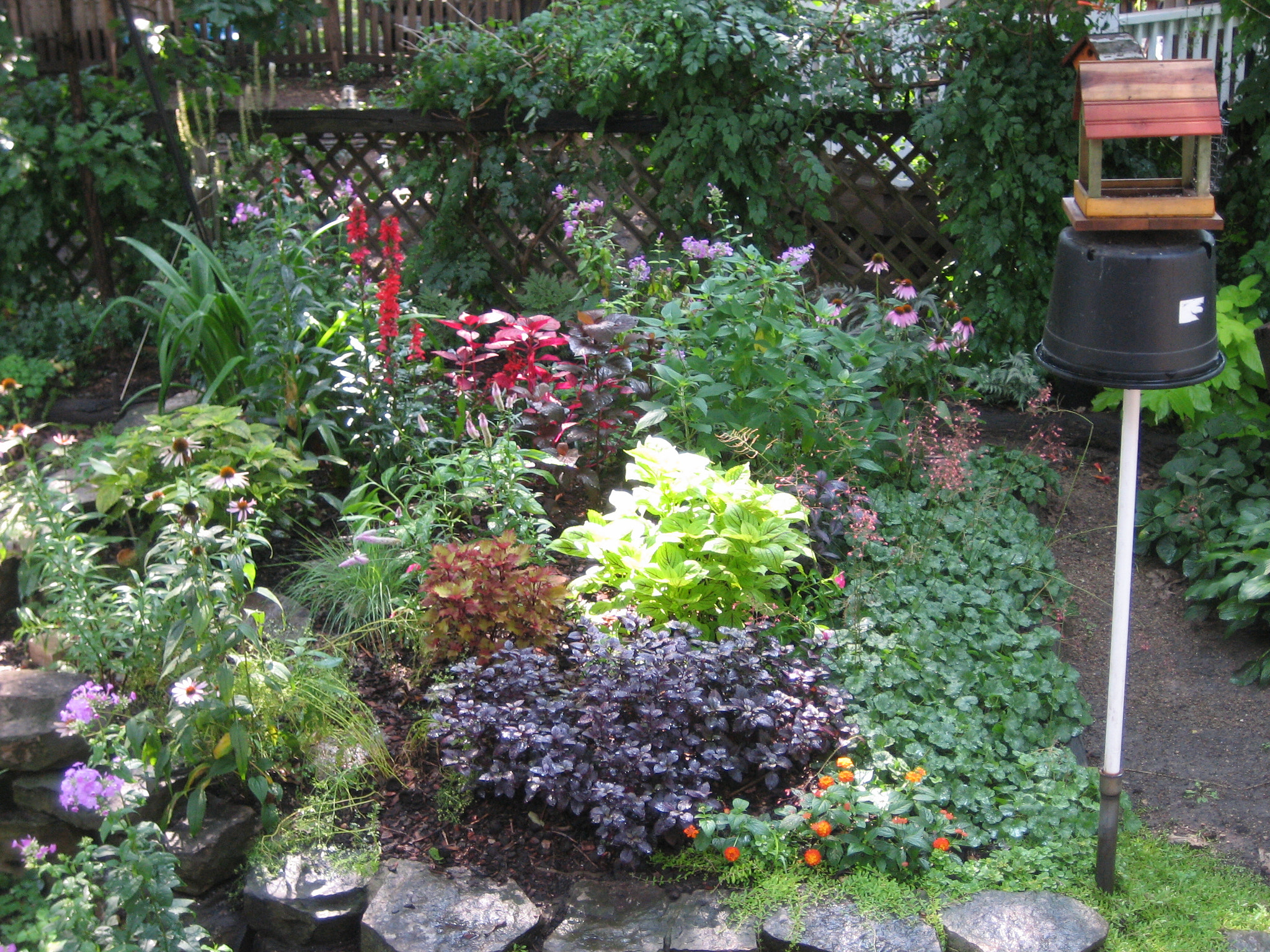 Canon POWERSHOT SD450 sample photo. Img photography