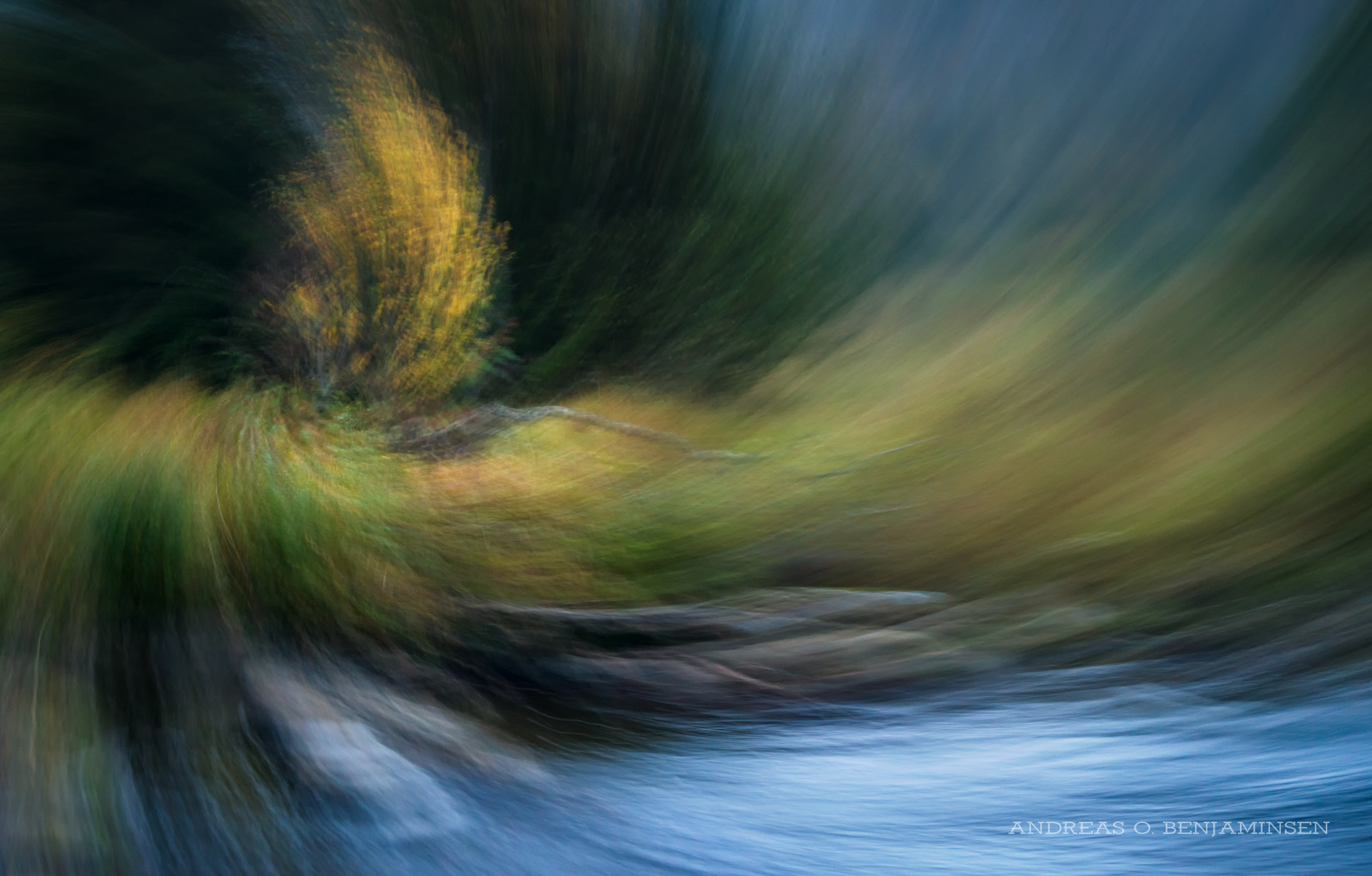 AF Zoom-Nikkor 28-80mm f/3.3-5.6G sample photo. Autumn forest photography