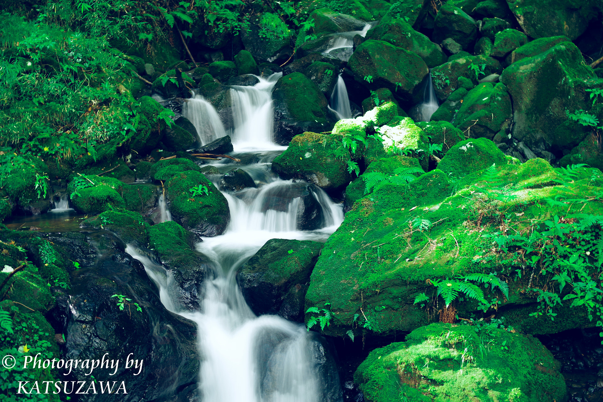 Pentax smc FA 31mm F1.8 AL Limited sample photo. Walk at the double dragon falls

 photography